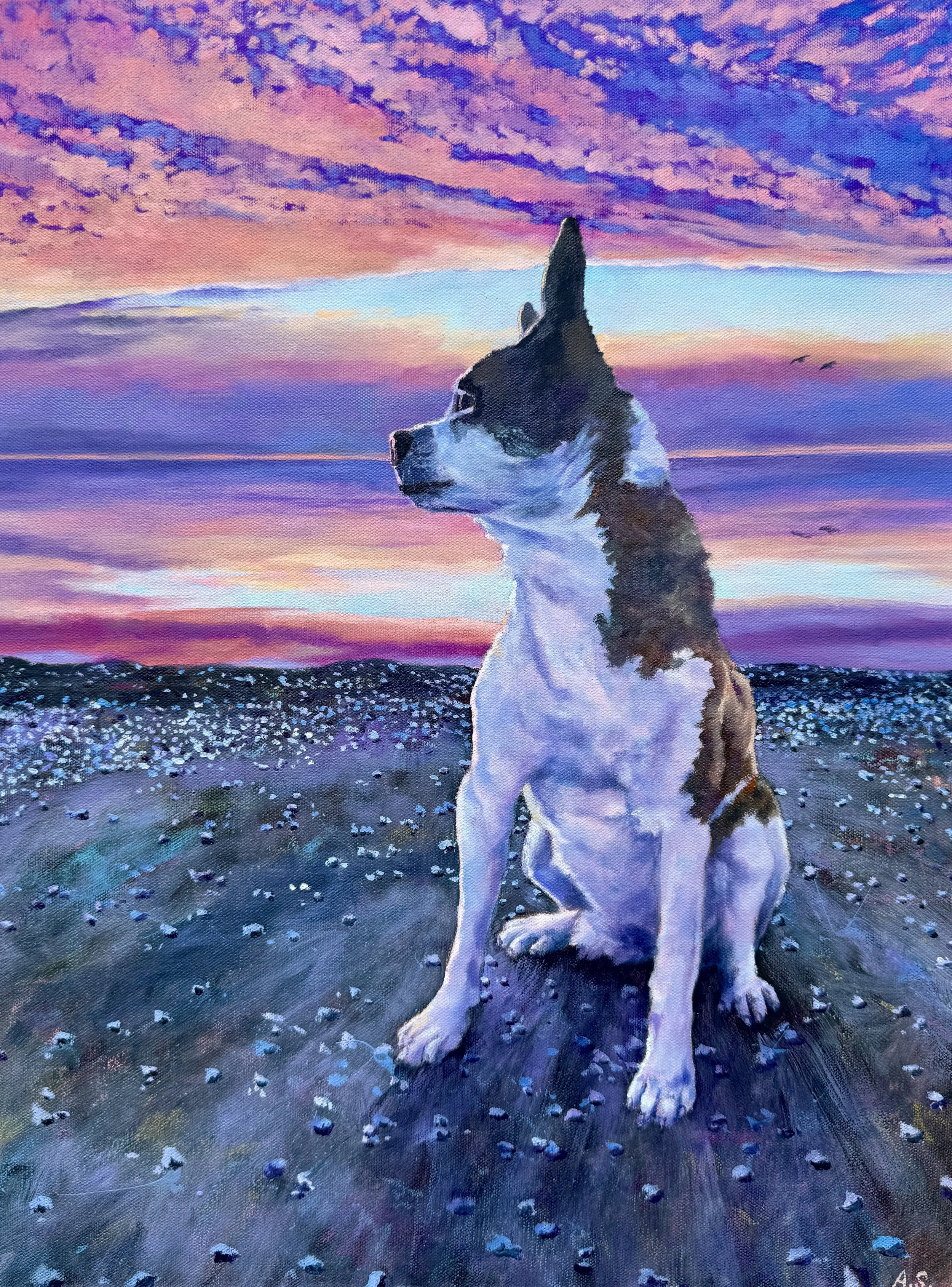 "Tuna", oil on canvas, 18"x24", 2025
