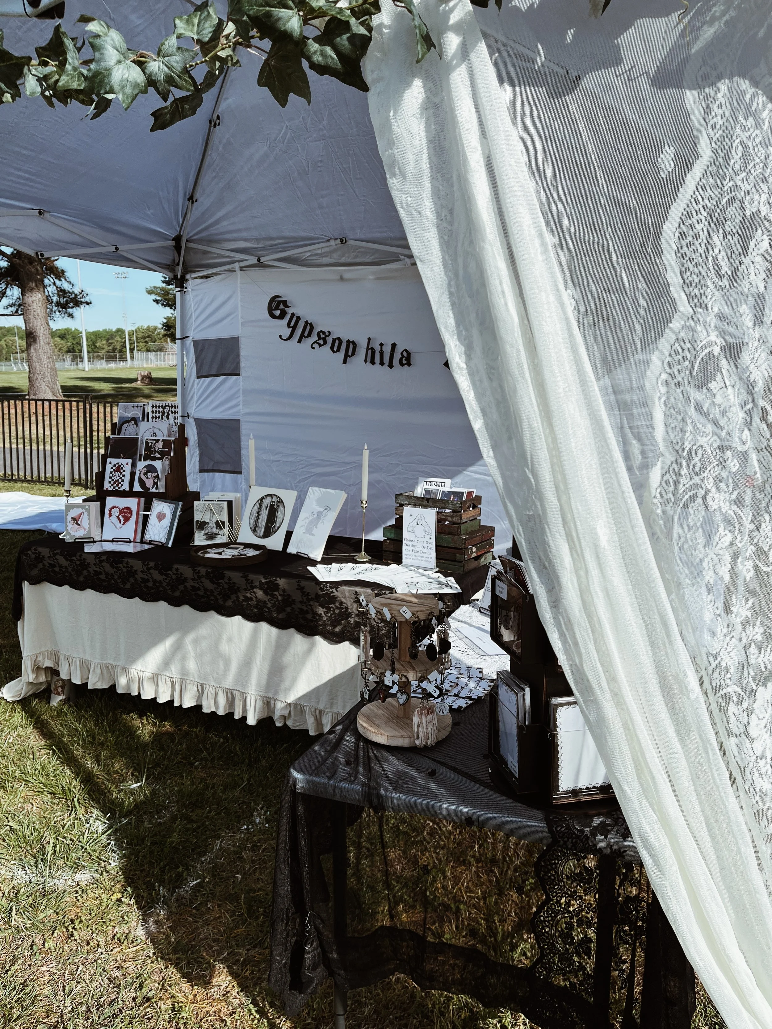 Renaissance Reflections