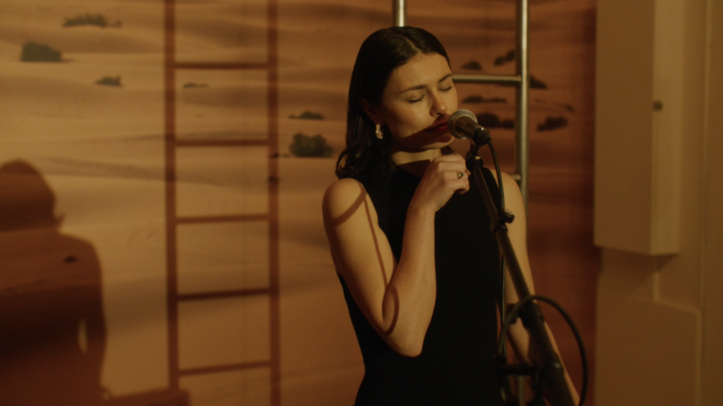 A woman in a black dress singing into a microphone indoors, with shadows and a wooden background.