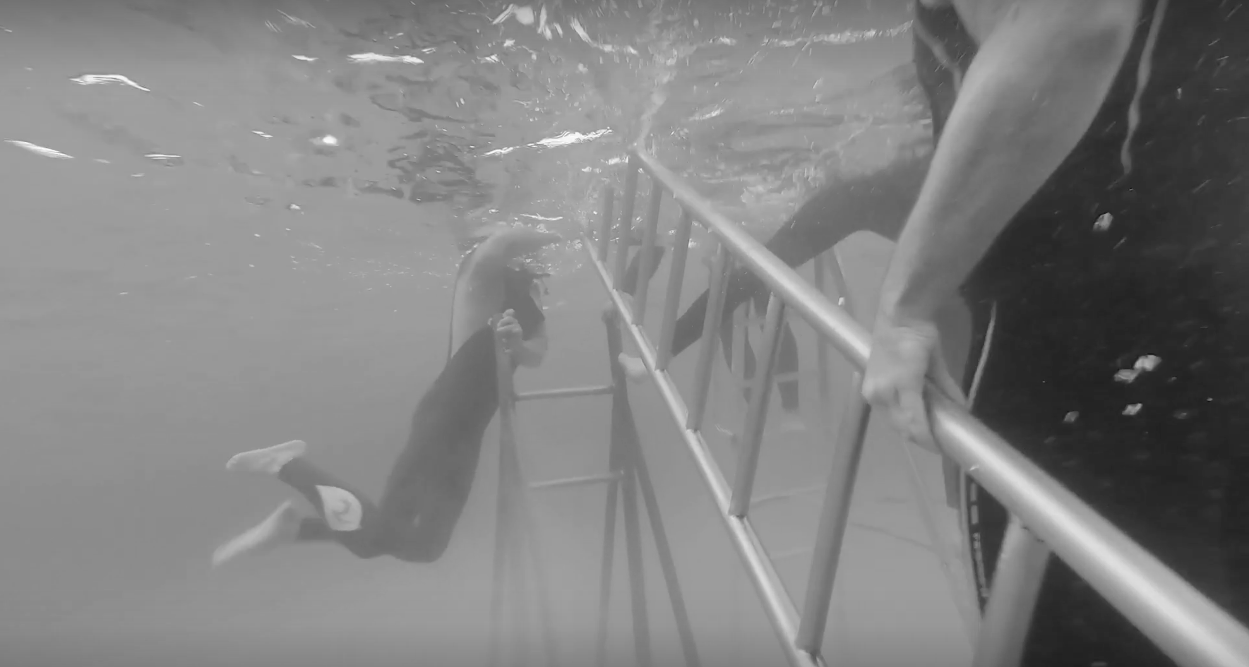 A person in a wetsuit is diving into water with the help of a metal ladder, taken from underwater perspective.