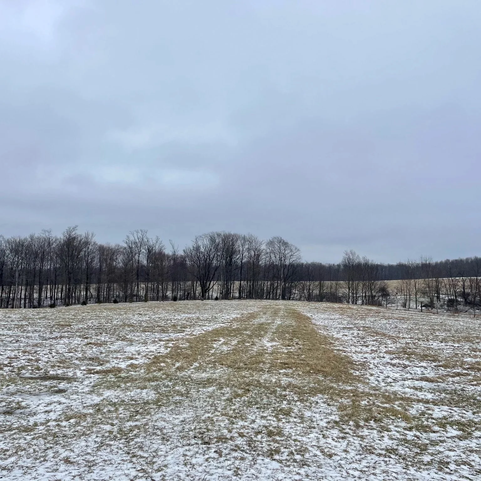 The Land Changed the Timeline