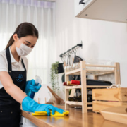 Zen - Regular Cleaning.png