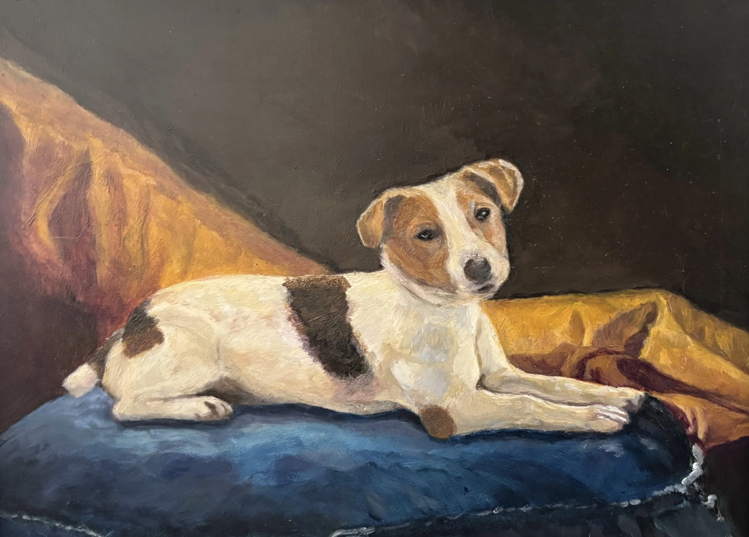 Dylan - Oil on panel 9x12in