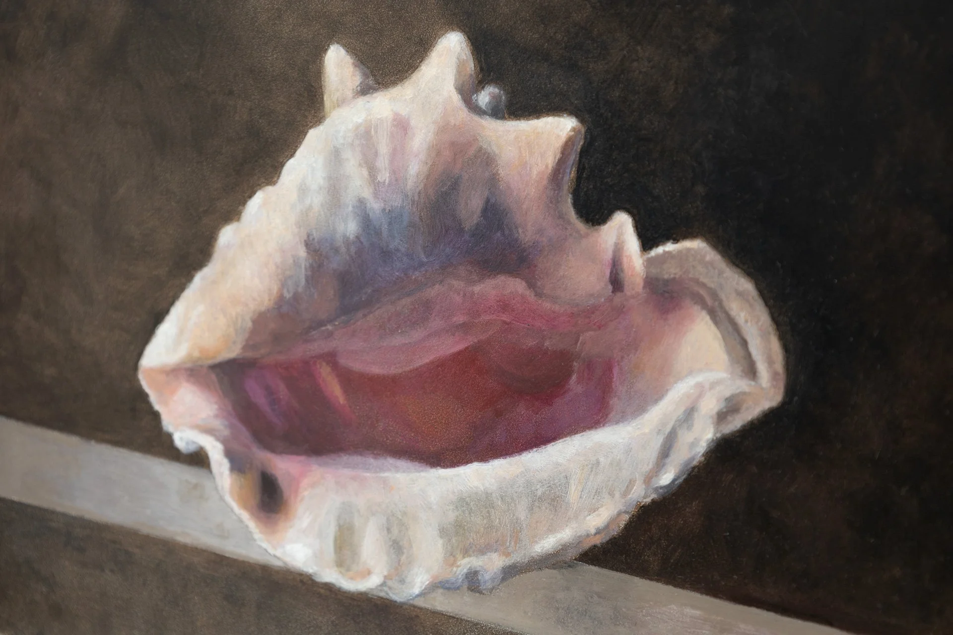 Study of a Seashell - Oil on gesso board 14x10 in
