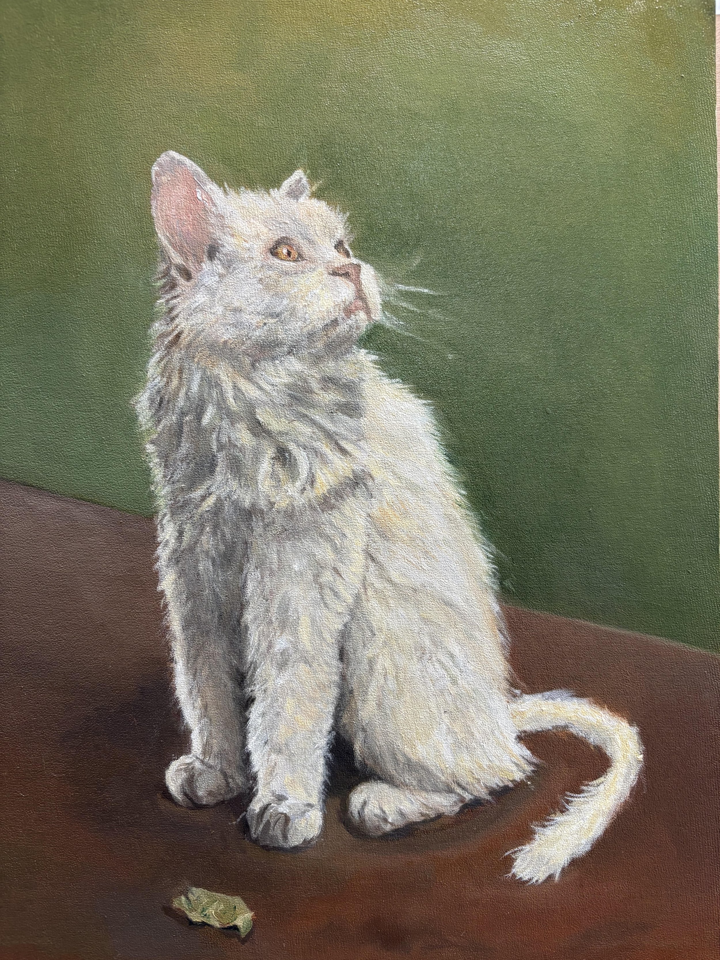 Ladakhi Cat - Oil on panel 11x22in