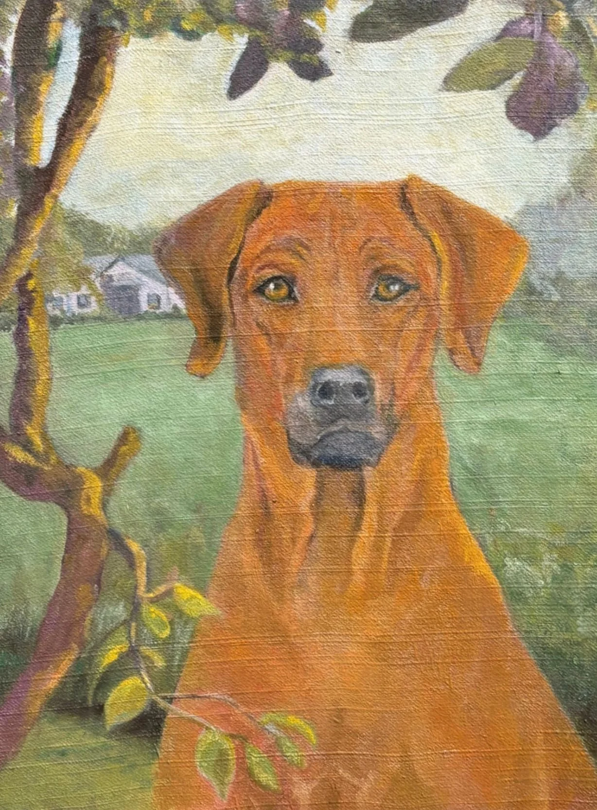 Tita - Mixed media on canvas 15x12 in