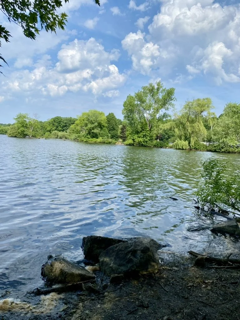Horn Pond in Woburn Massachusetts with trees and blue sky