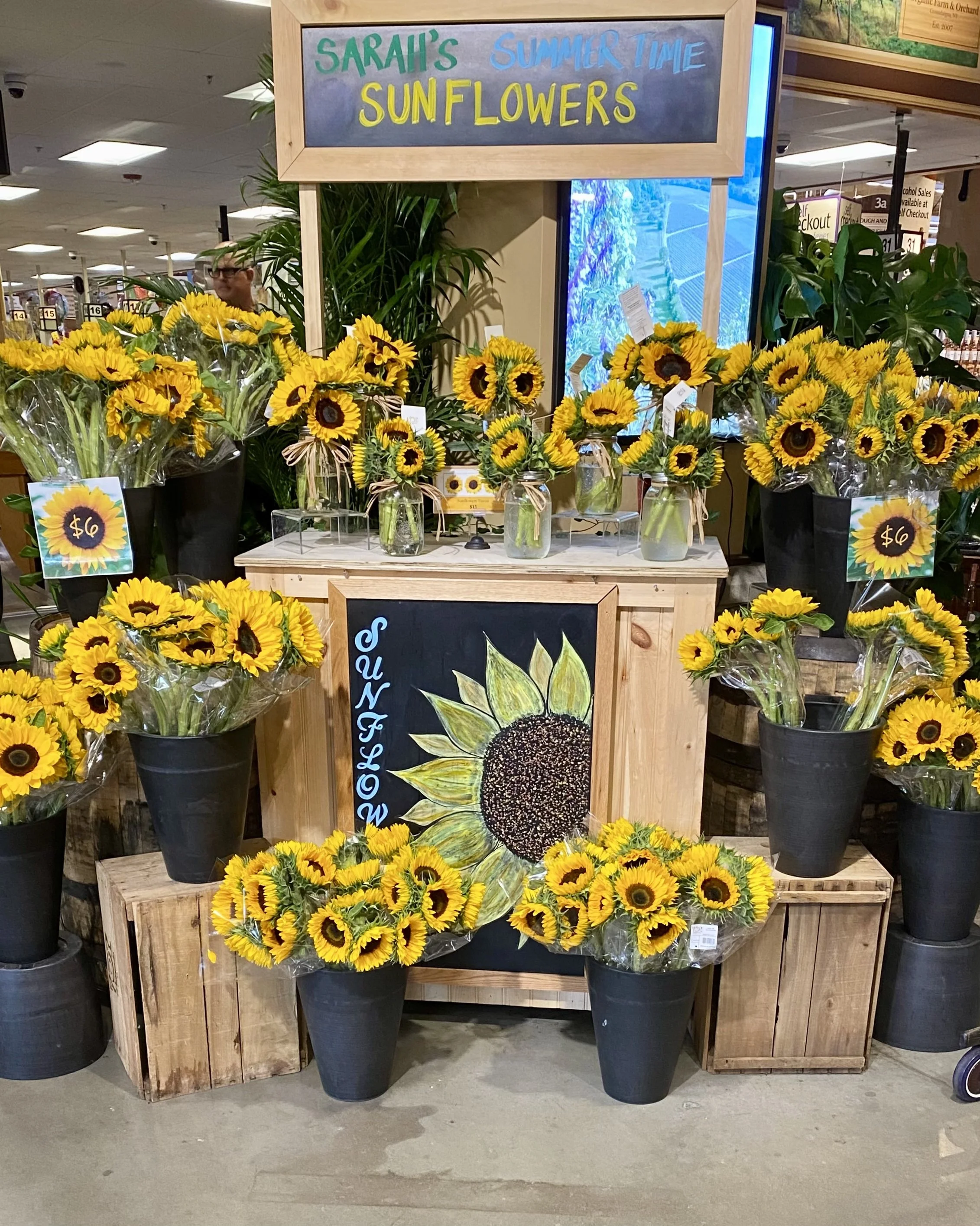 Sunflower display at Wegmans in Burlington Massachusetts