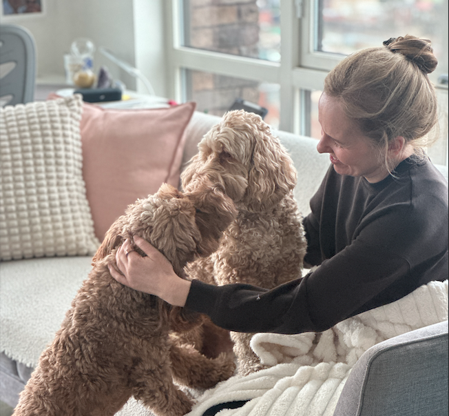 The problem with pet care today