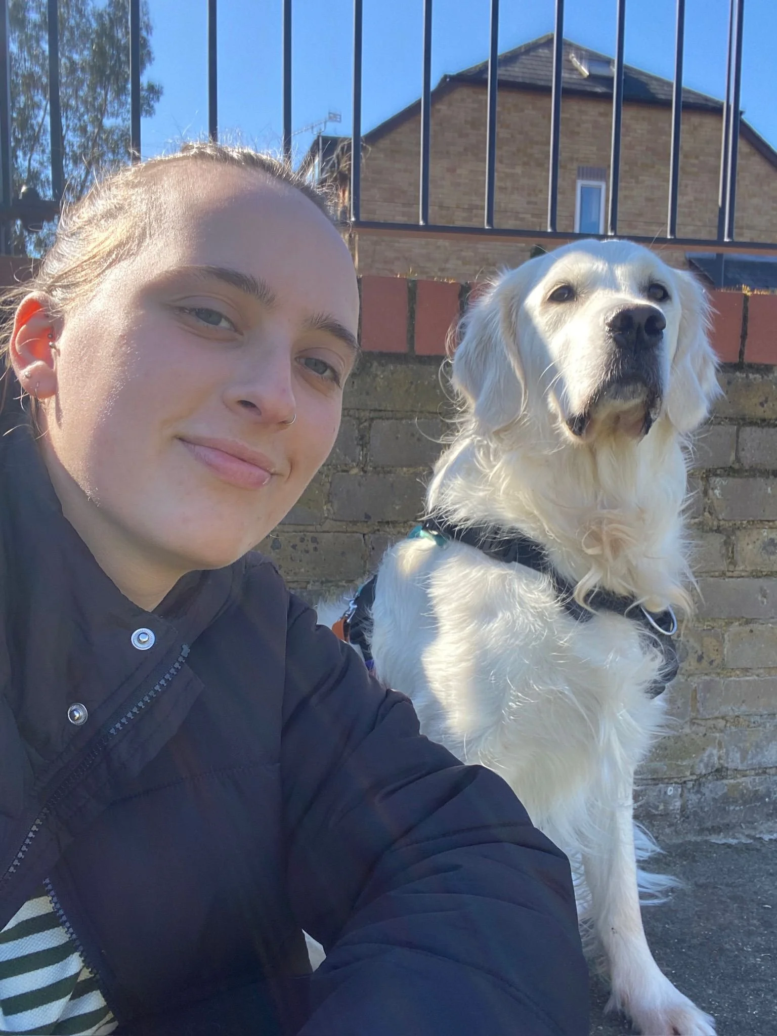 Toni Edwoods with a golden retriever sitting outside on a sunny day, with a brick wall, a house and a blue sky in the background.