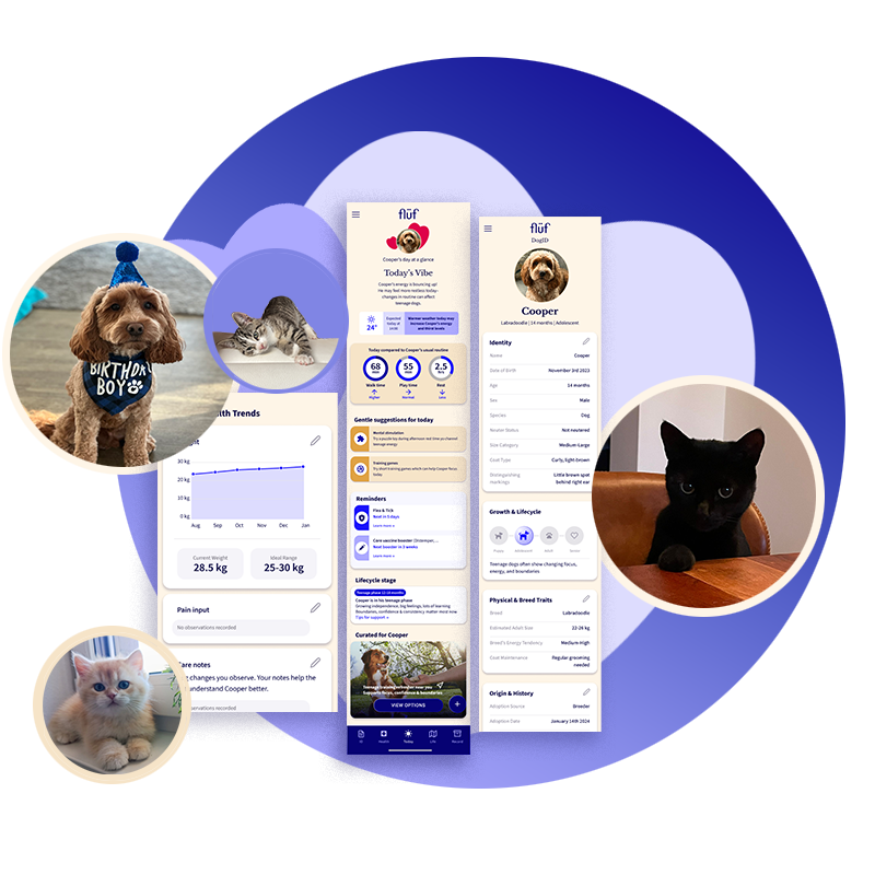 flüf app screens present a collection of pet profiles and health data for dogs and cats, including pictures of a dog wearing a birthday bandana, a black cat, a kitten, and dog Cooper, with app screens displaying health and growth information.