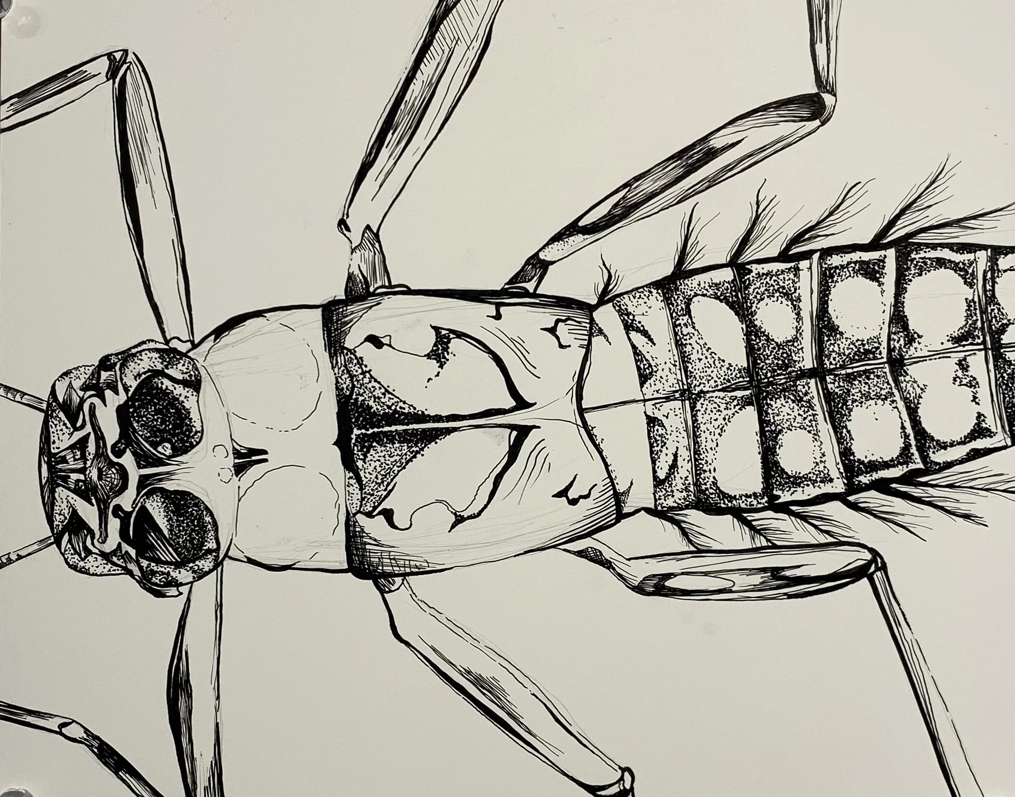 "River Dweller", Ink pen on clay board, 2023