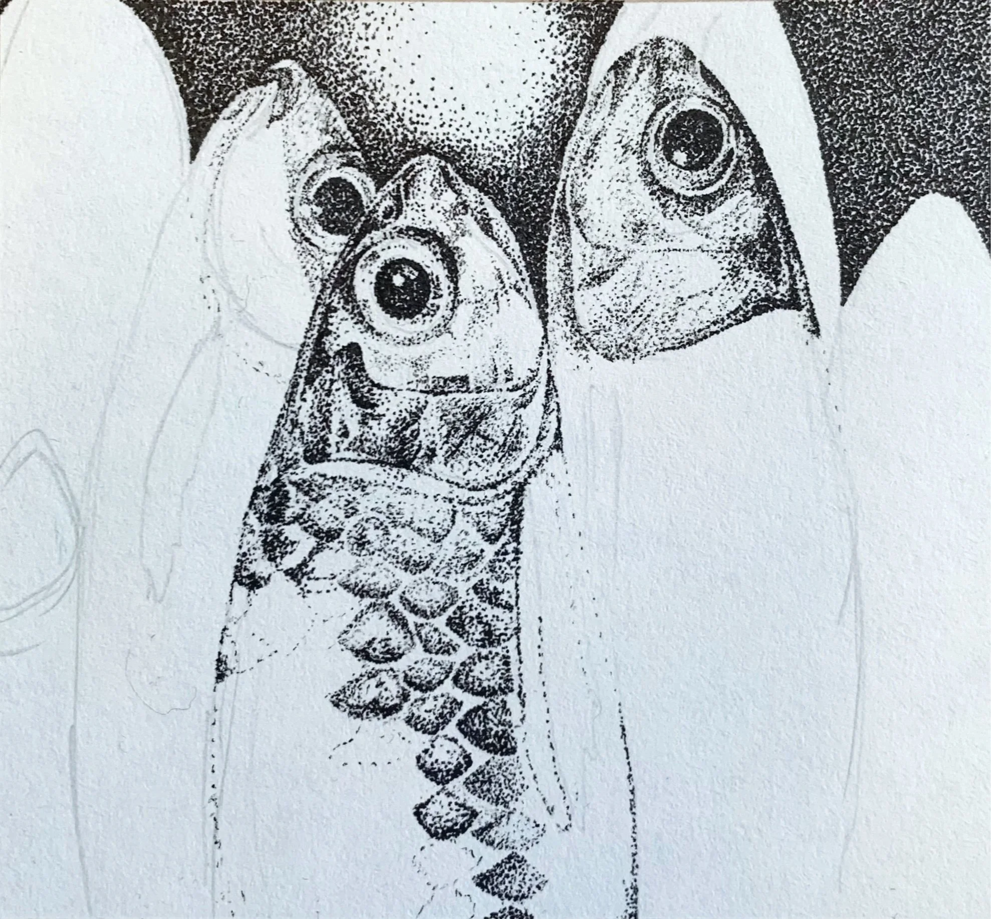 "Packed Tight" (in progress), Ink pen, 2026