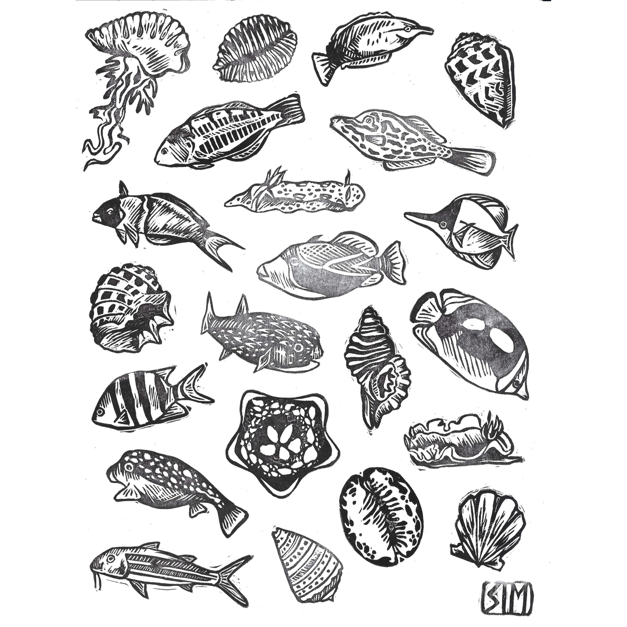 Hawai'i Marine Fauna print