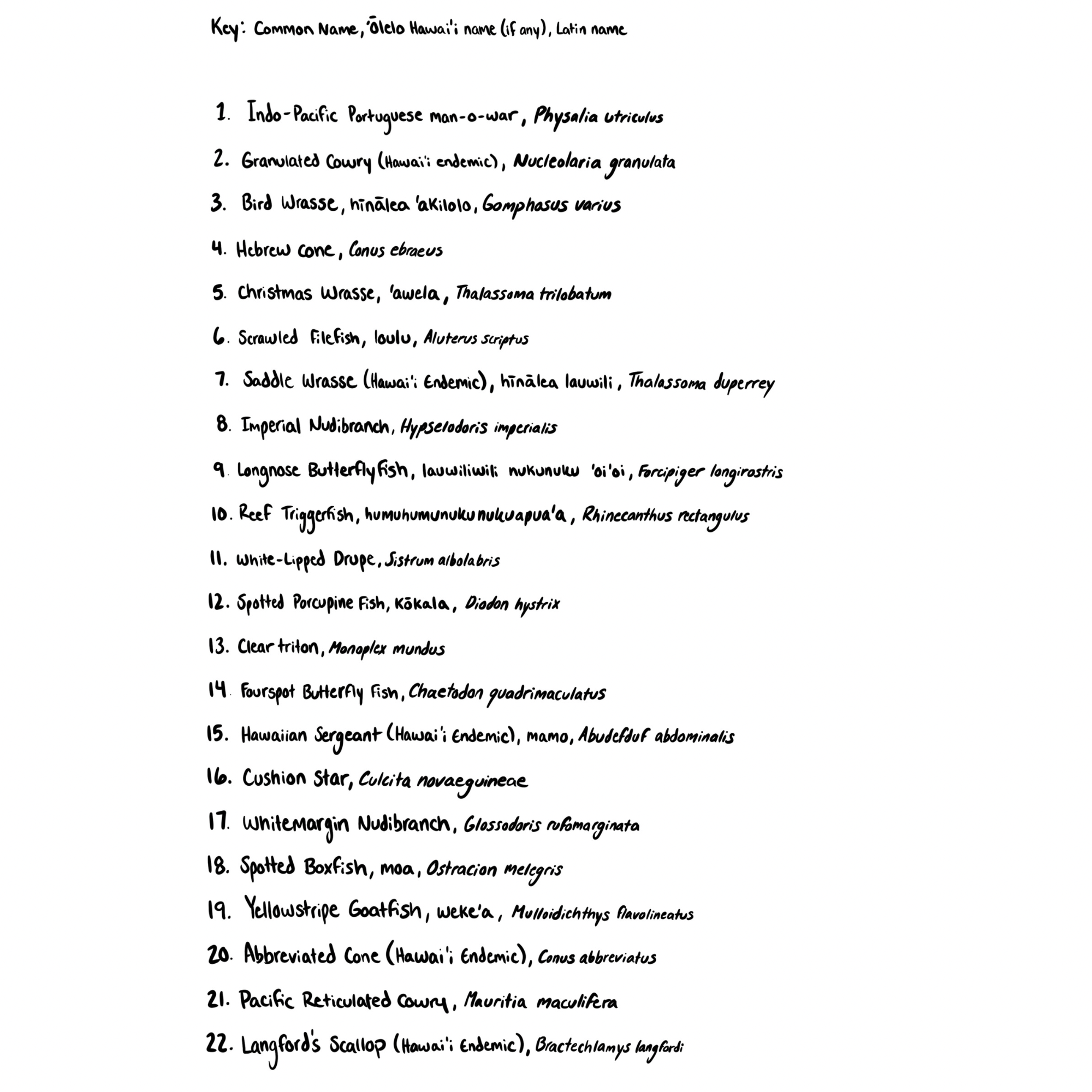 Untitled design 3.png