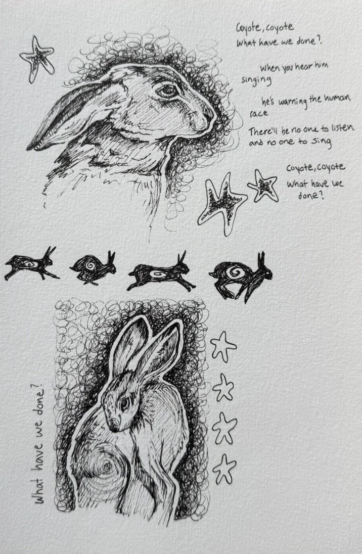 "Coyote, my little brother", Pen and ink, 2025