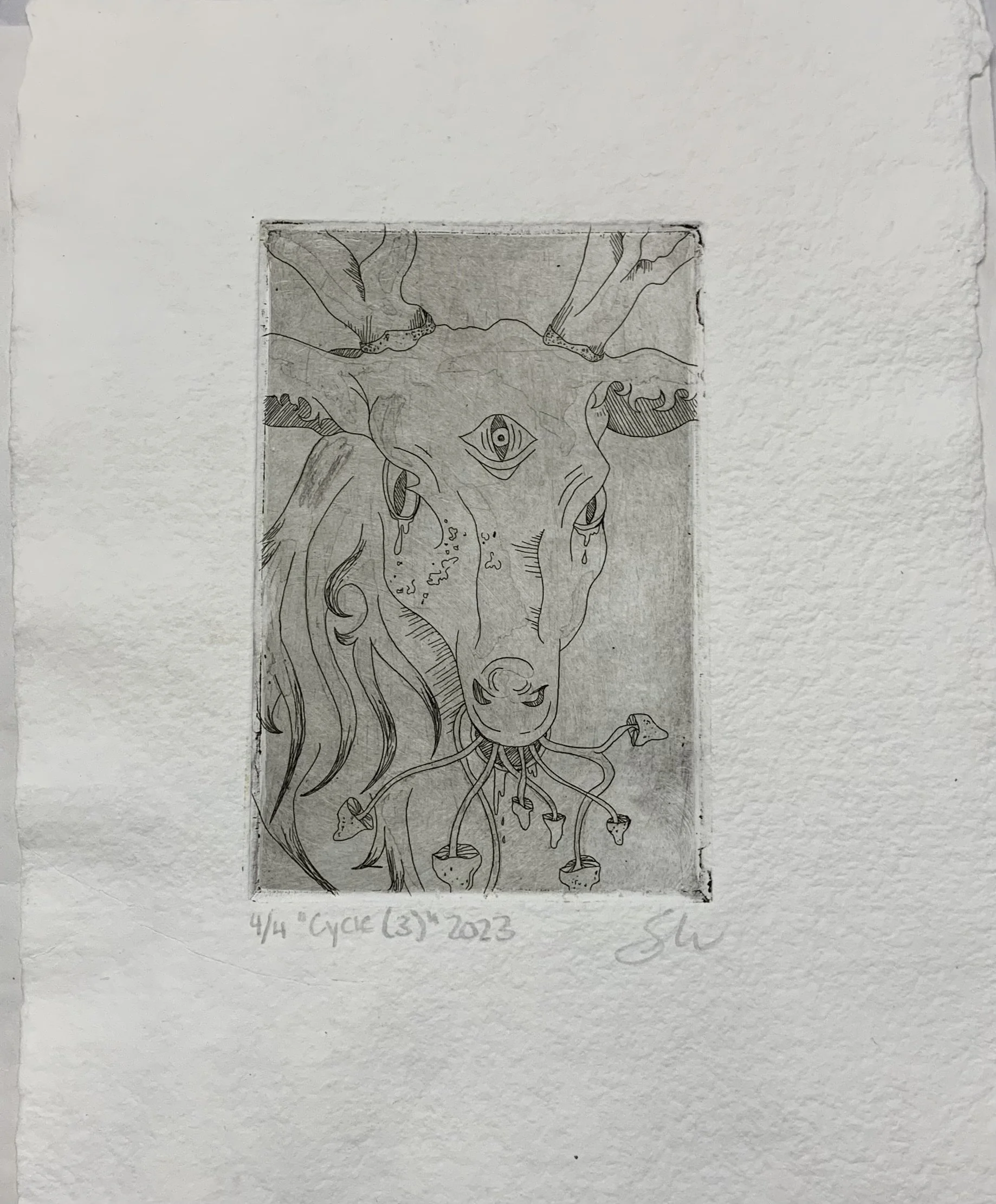 "Cycle" Limited Printing