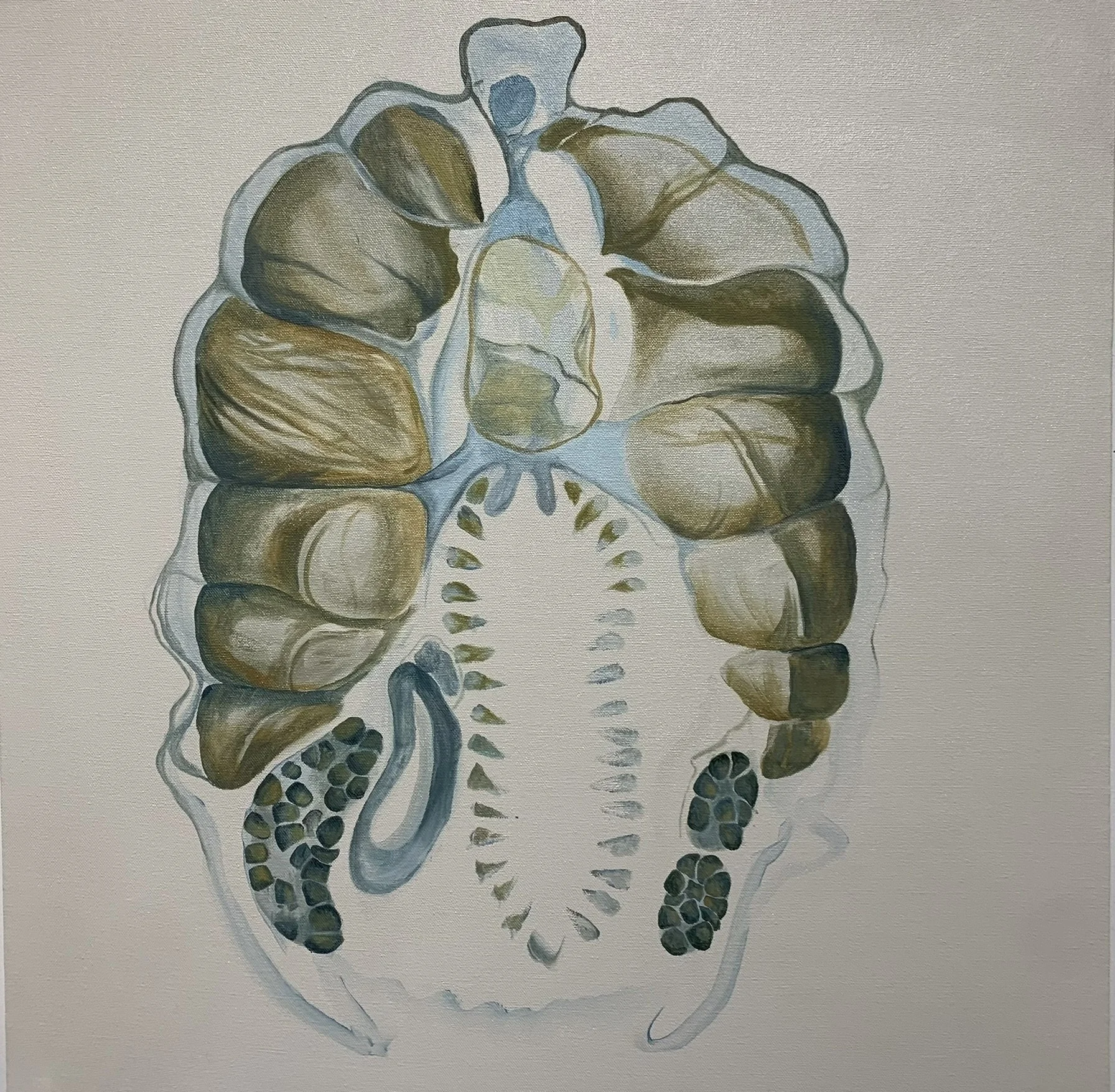 "Larval Lamprey" (in progress), Oil on Canvas, 2026
