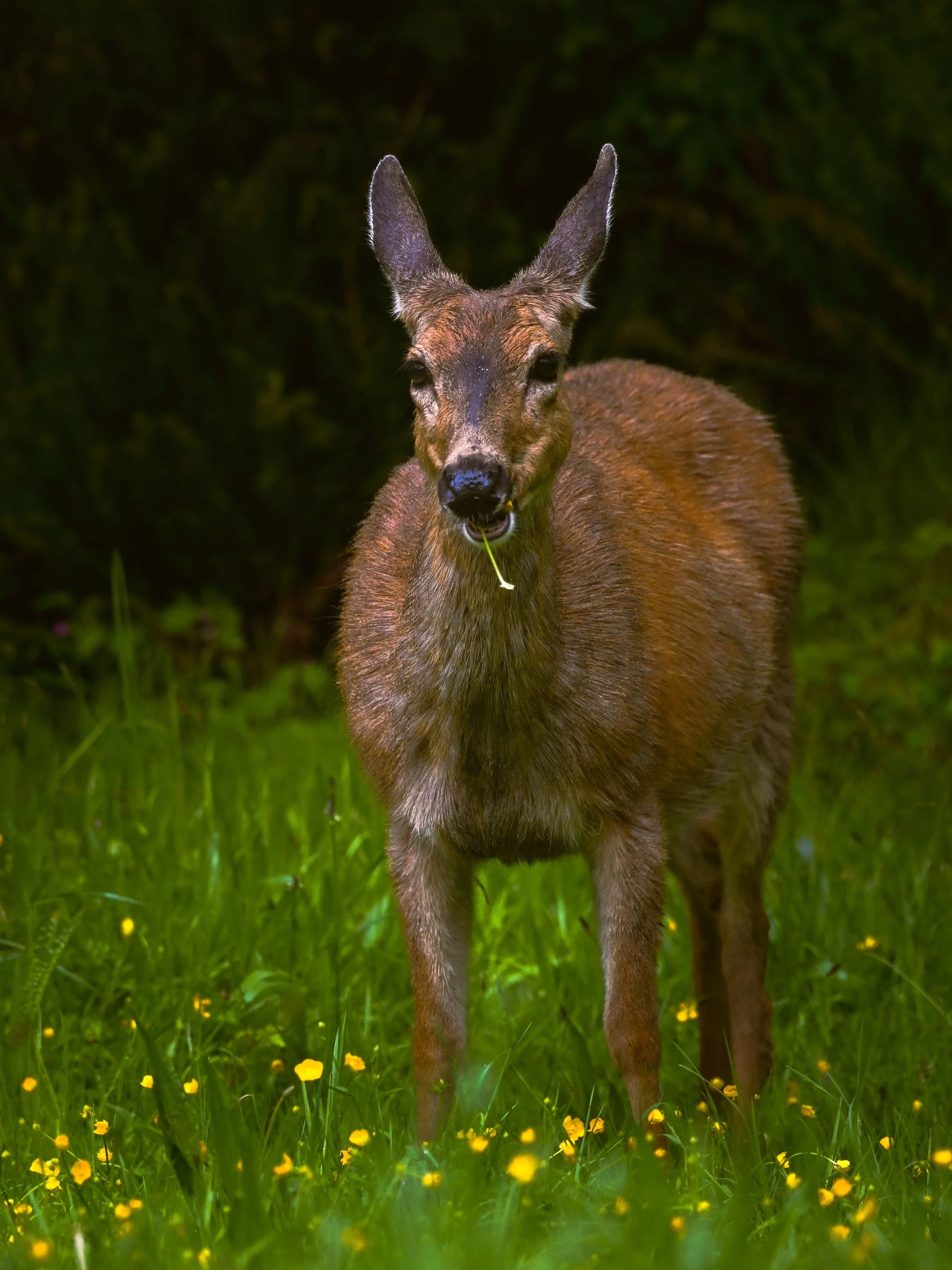 SPS_2107.jpg