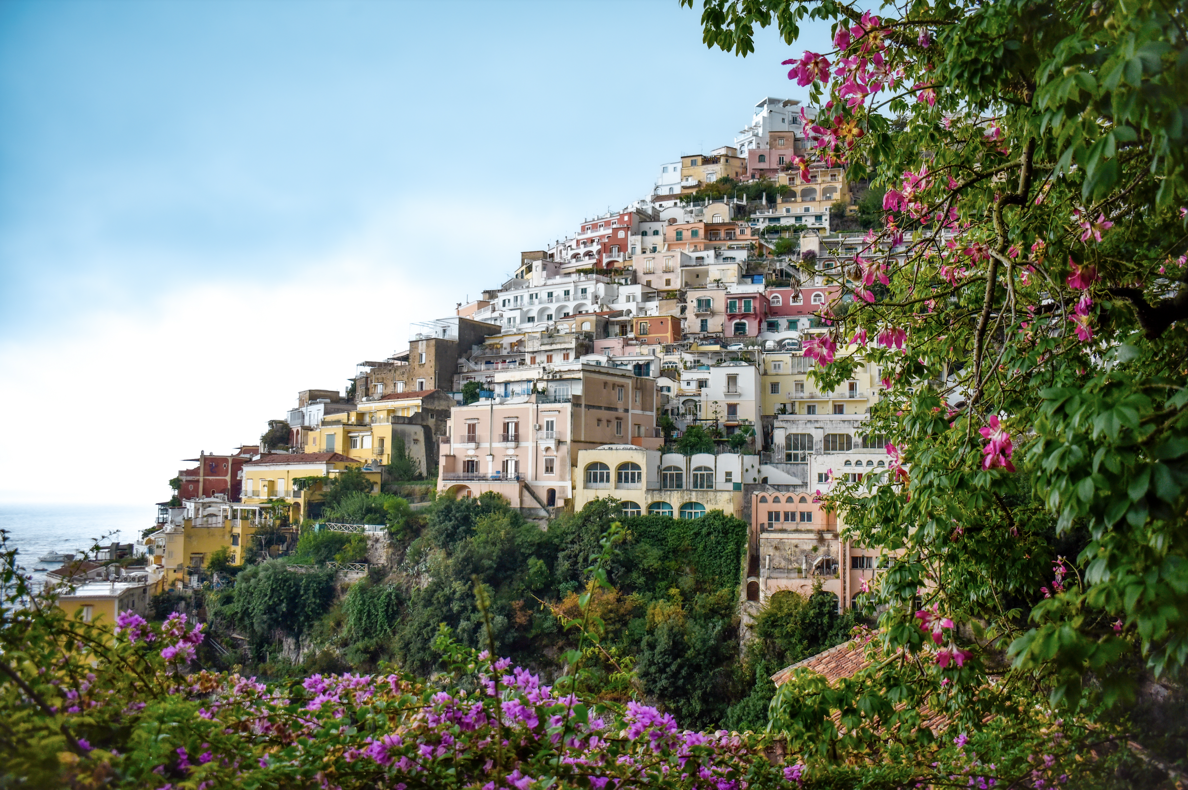 Screenshot 2026-02-24 at 5.54.06 PM.png