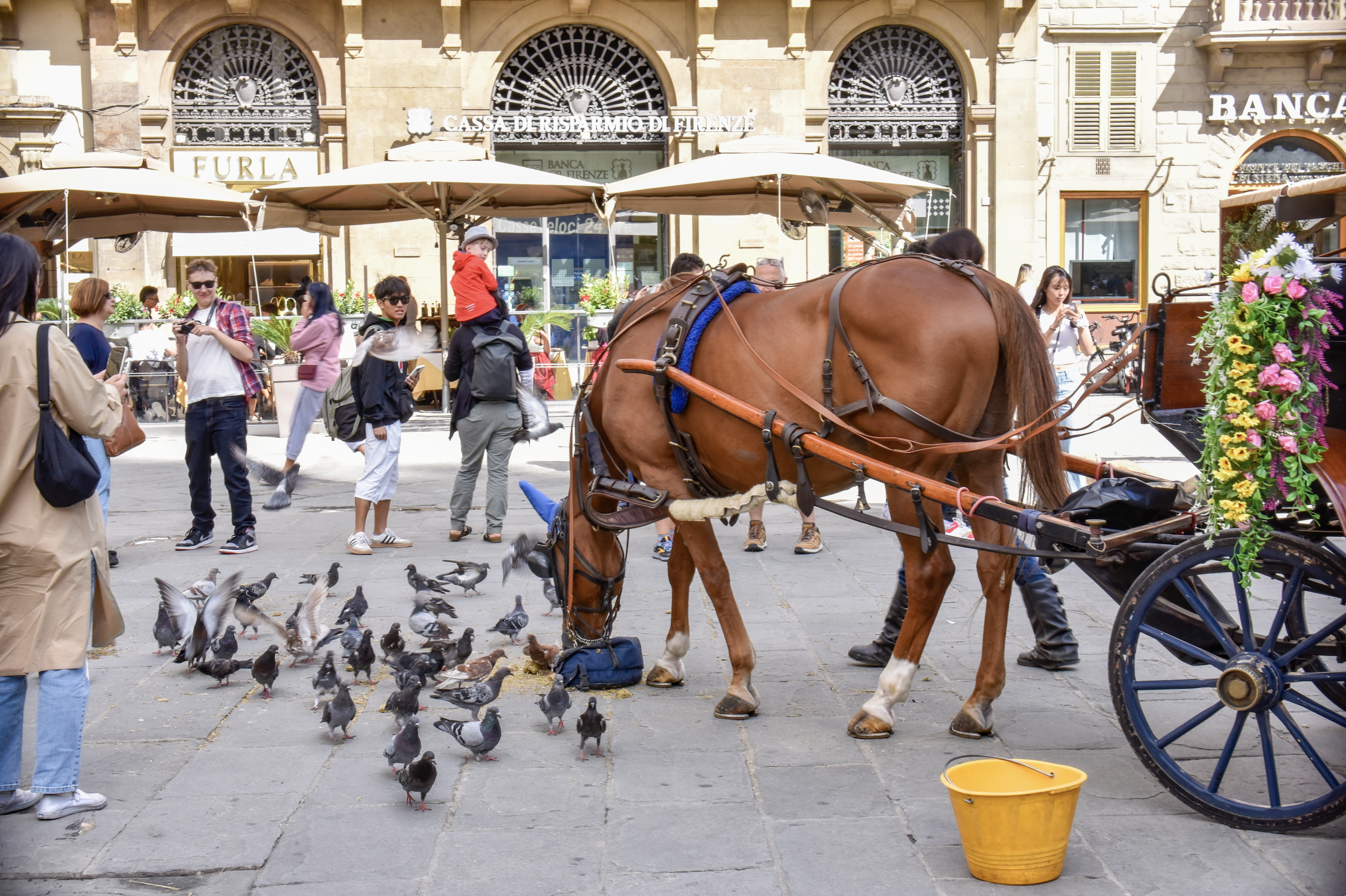 Screenshot 2026-02-24 at 12.58.28 PM.png