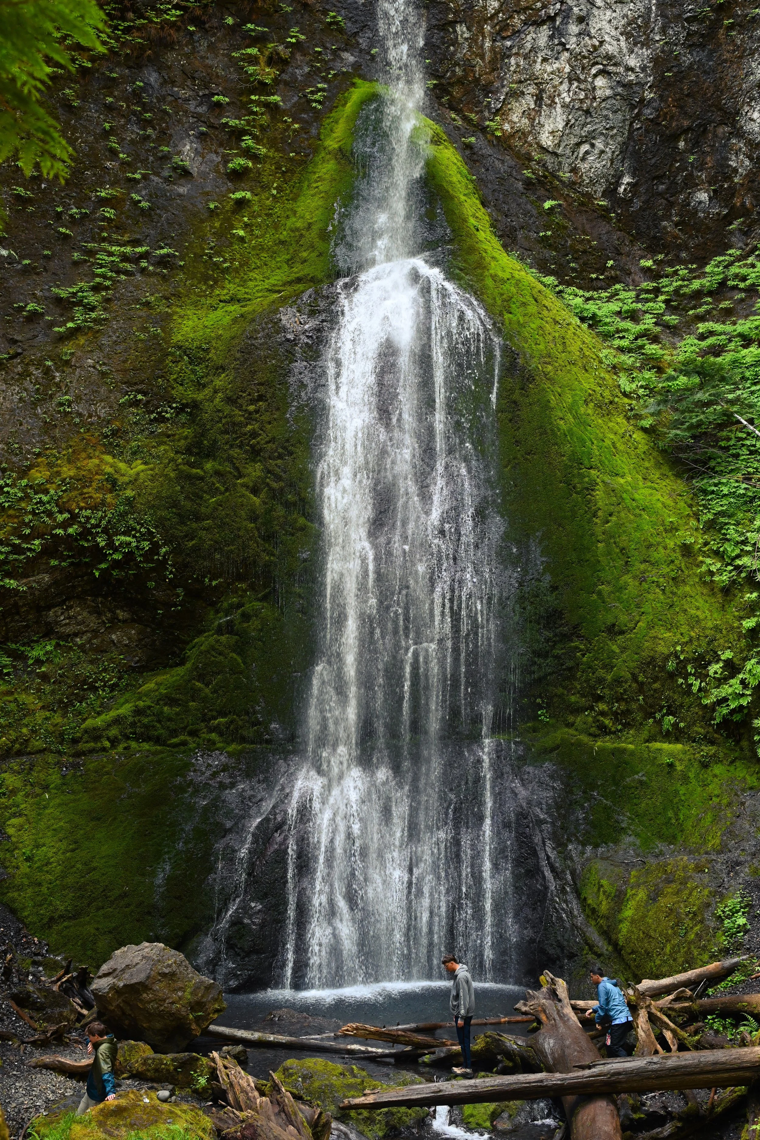 SPS_1811.jpg