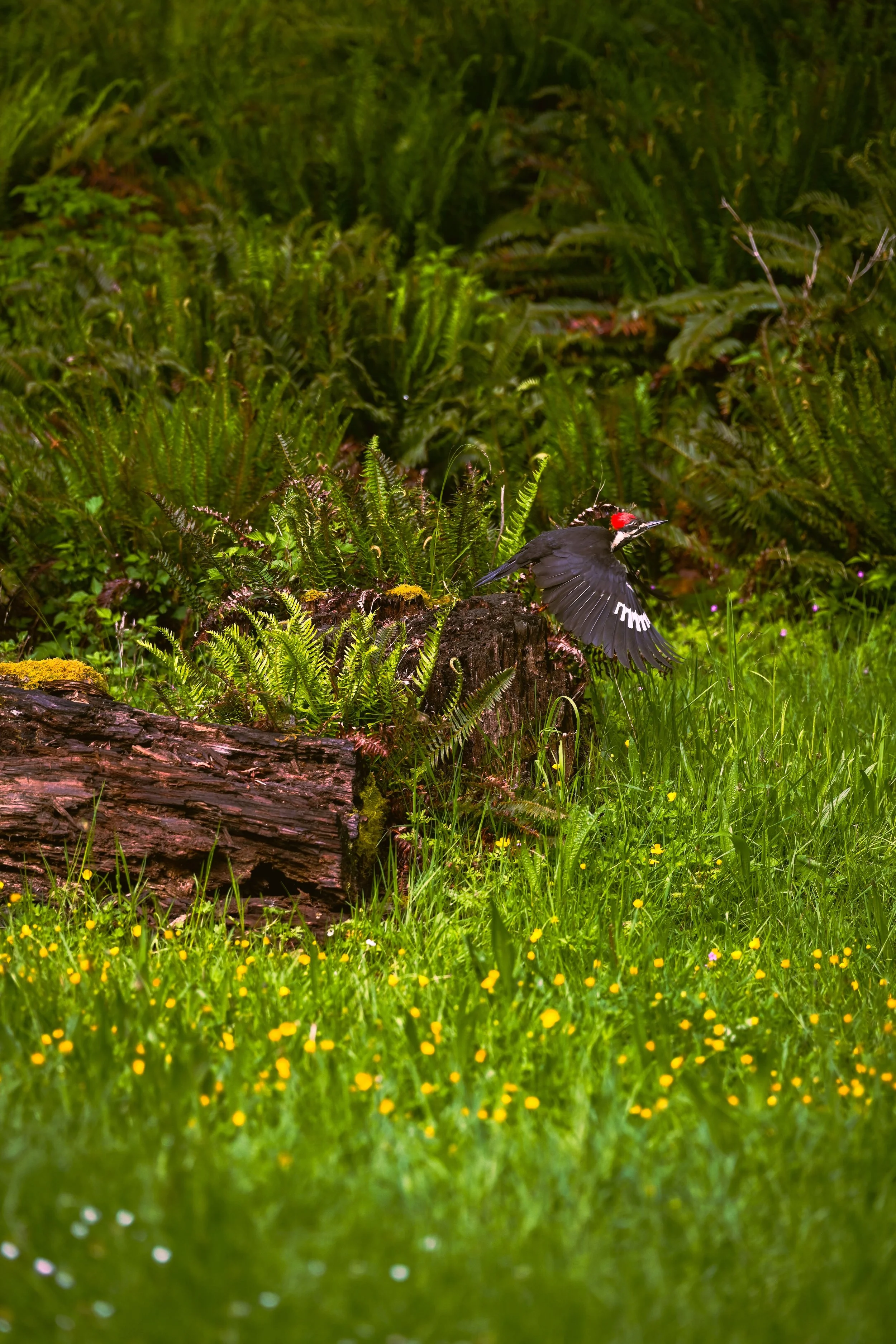 SPS_2248-2.jpg