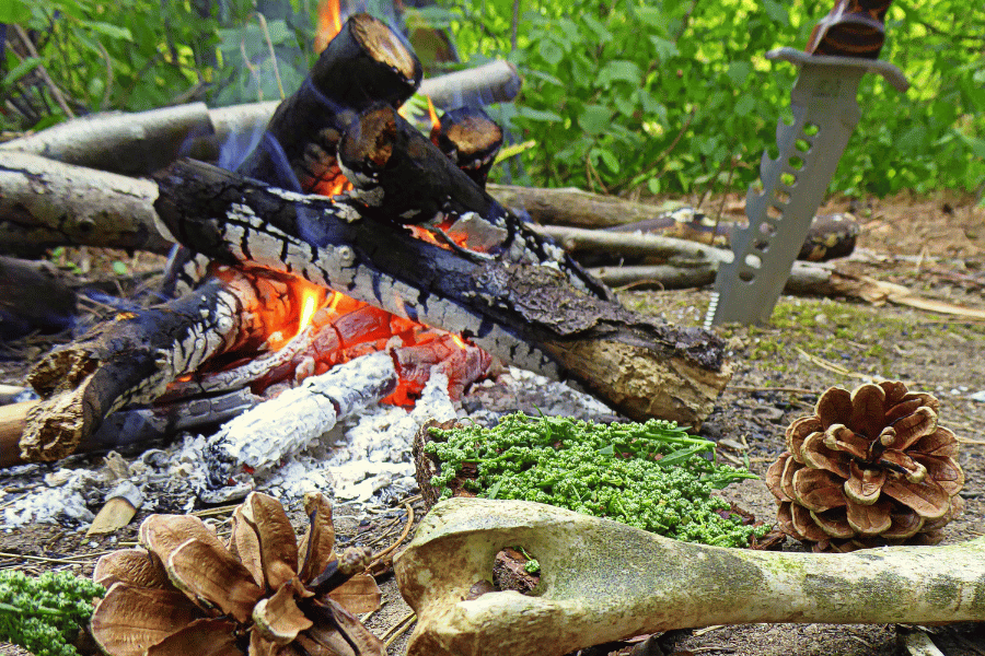 A campfire with burning logs, surrounded by pinecones, green plants, a bone, and a knife in a wooded area.