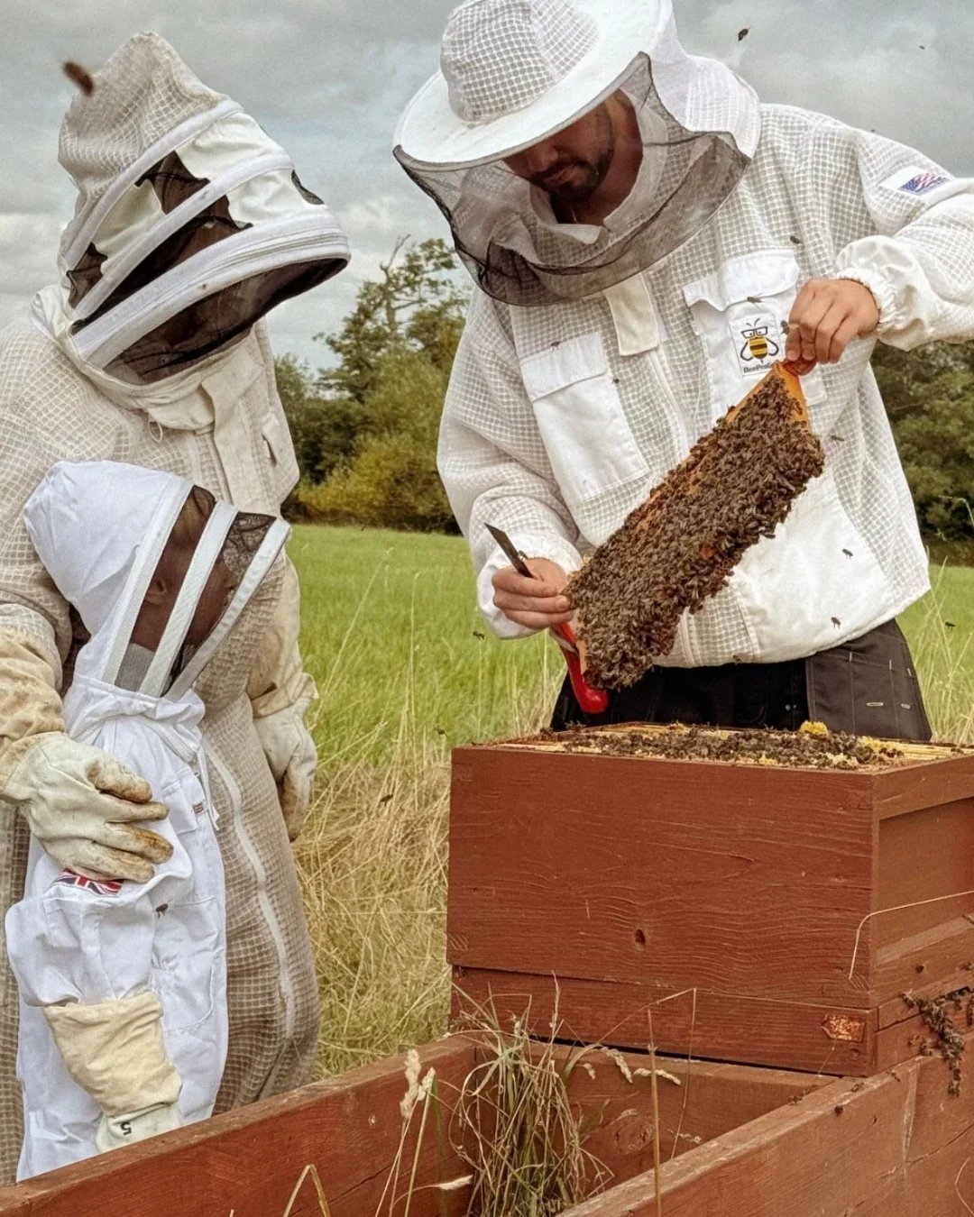 Bee Keeping