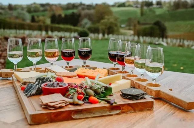 A wine and cheese tasting board outdoors with various cheeses, crackers, fruit, and a line of glasses filled with different types of wine, against a backdrop of green fields and trees.