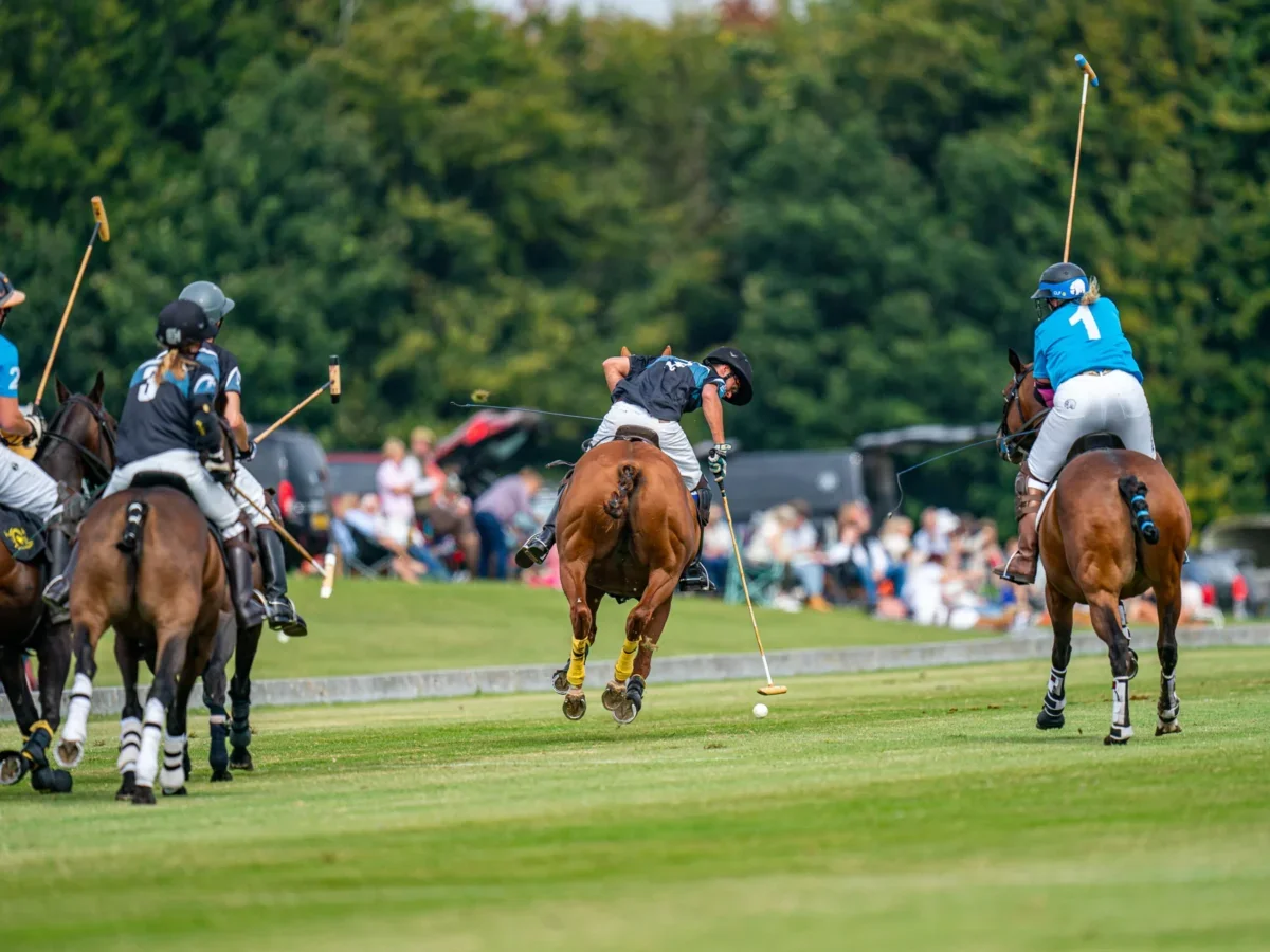 A polo match with players on horseback and a player striking the ball with a mallet on a grassy field, with spectators in the background.