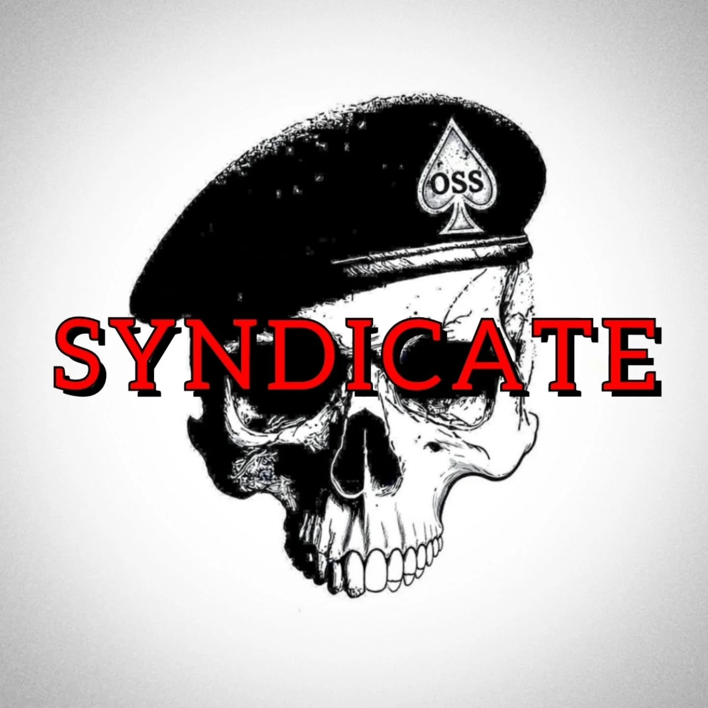 A Syndicate may refer to a group of individuals or organizations who join together to undertake a specific project or pursue a common goal. 

Our common goal is to develop elite professional tactical athletes. 

Those who join us for the inaugural in
