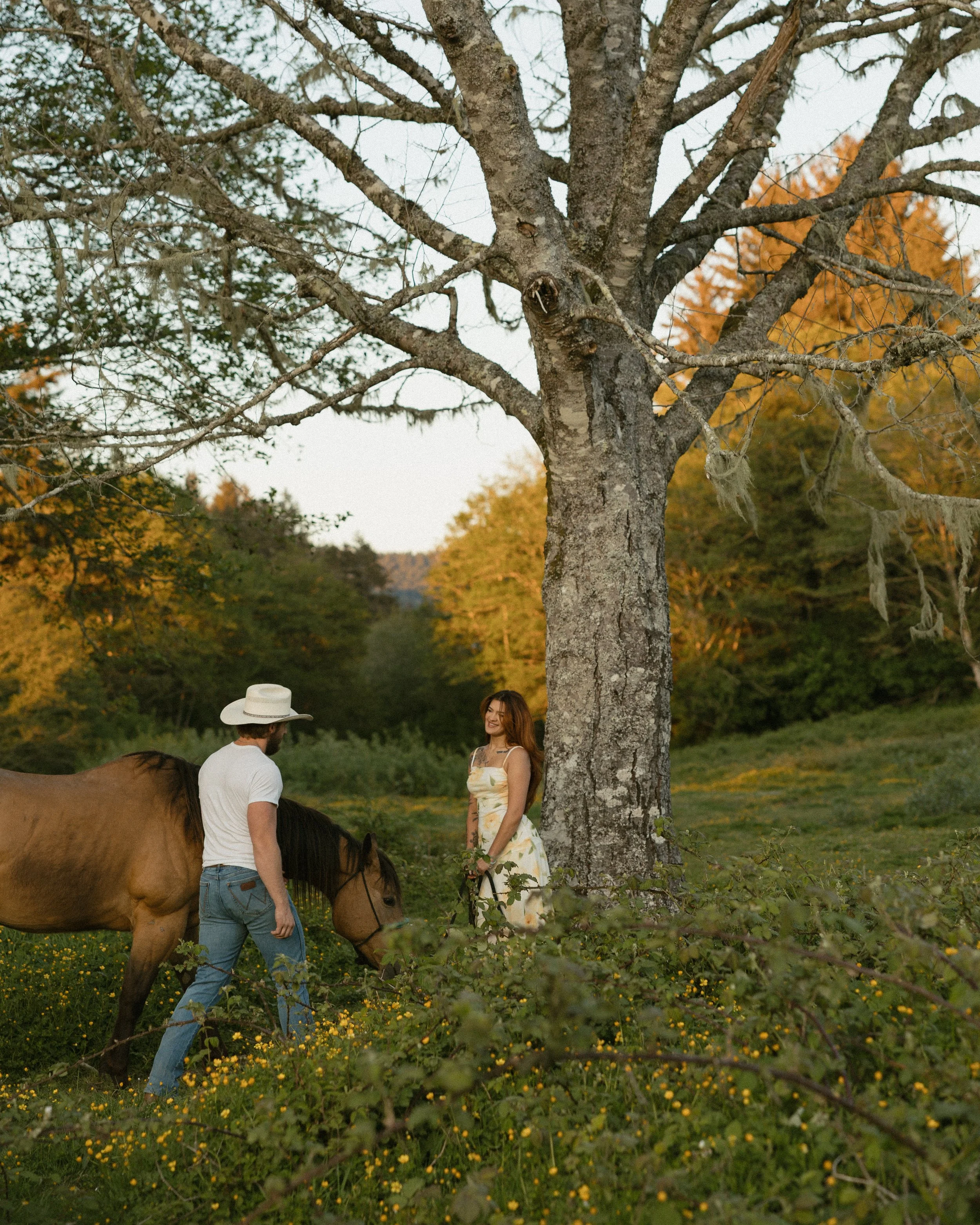 A man with a white hat and a woman in a floral dress are outdoors in a grassy area with small yellow flowers, near a large tree with bare branches, during sunset or late afternoon. The man is holding a horse while the woman stands nearby smiling.