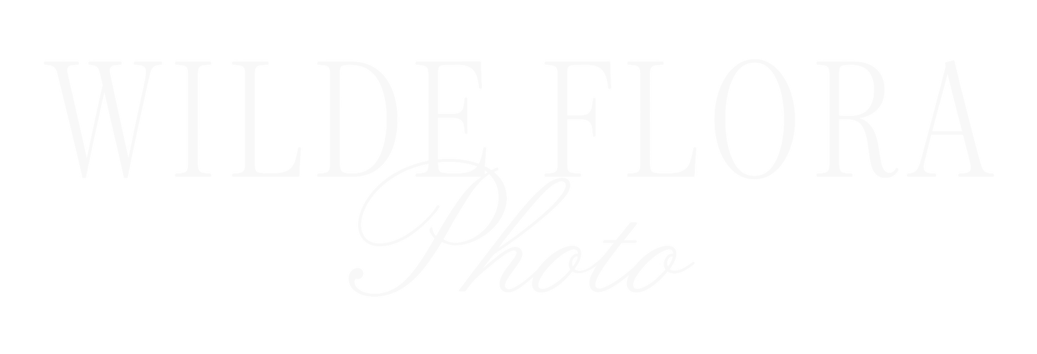 Wilde Flora Photo