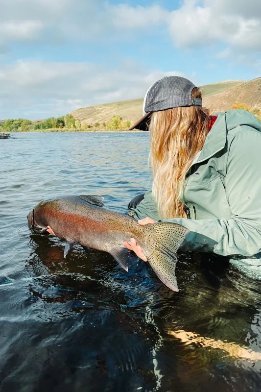 litebright steelhead-1.jpg