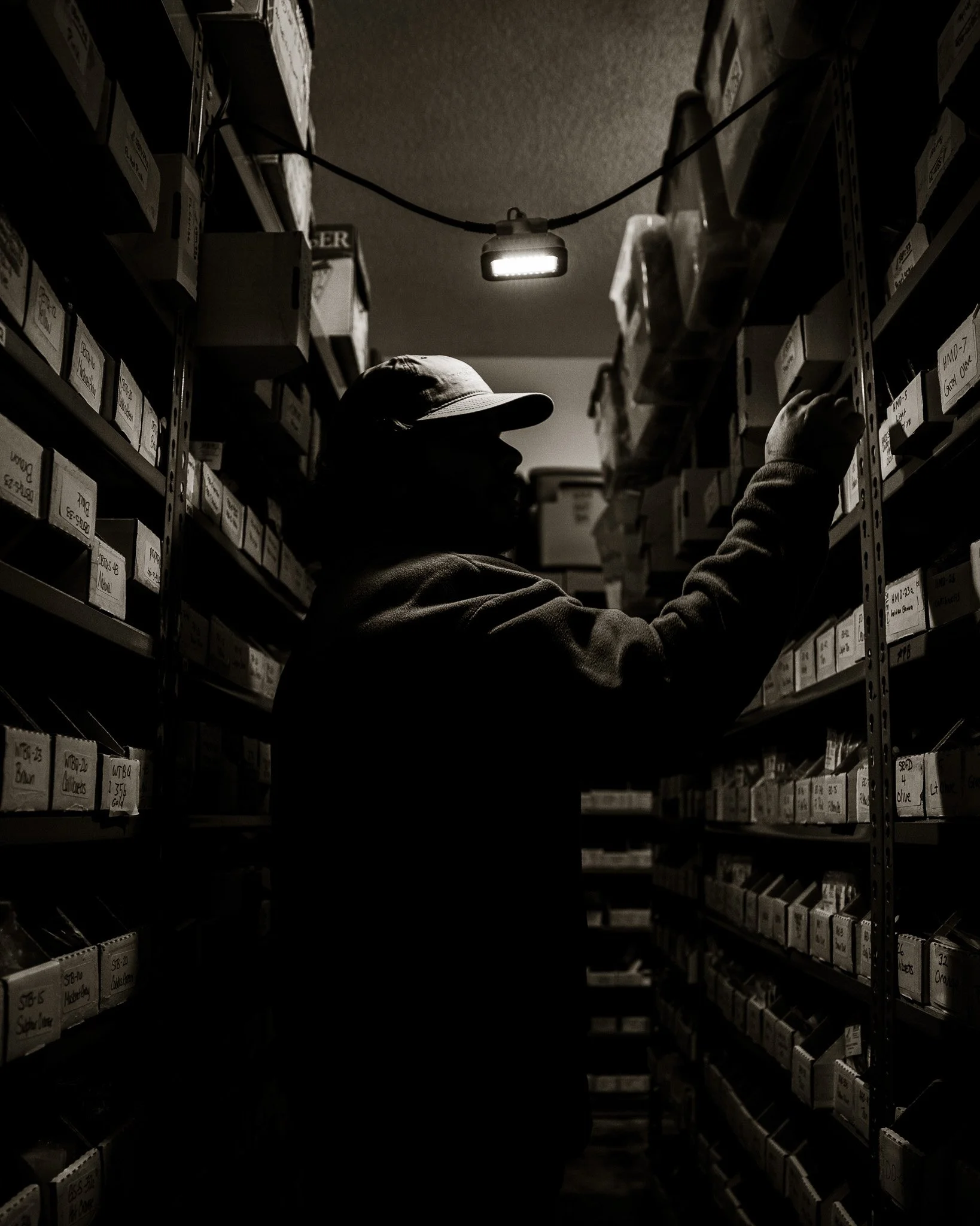 The Backrooms