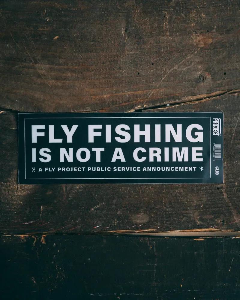 BA_tfp_fly_project_fly_project_psa__2678930__.webp