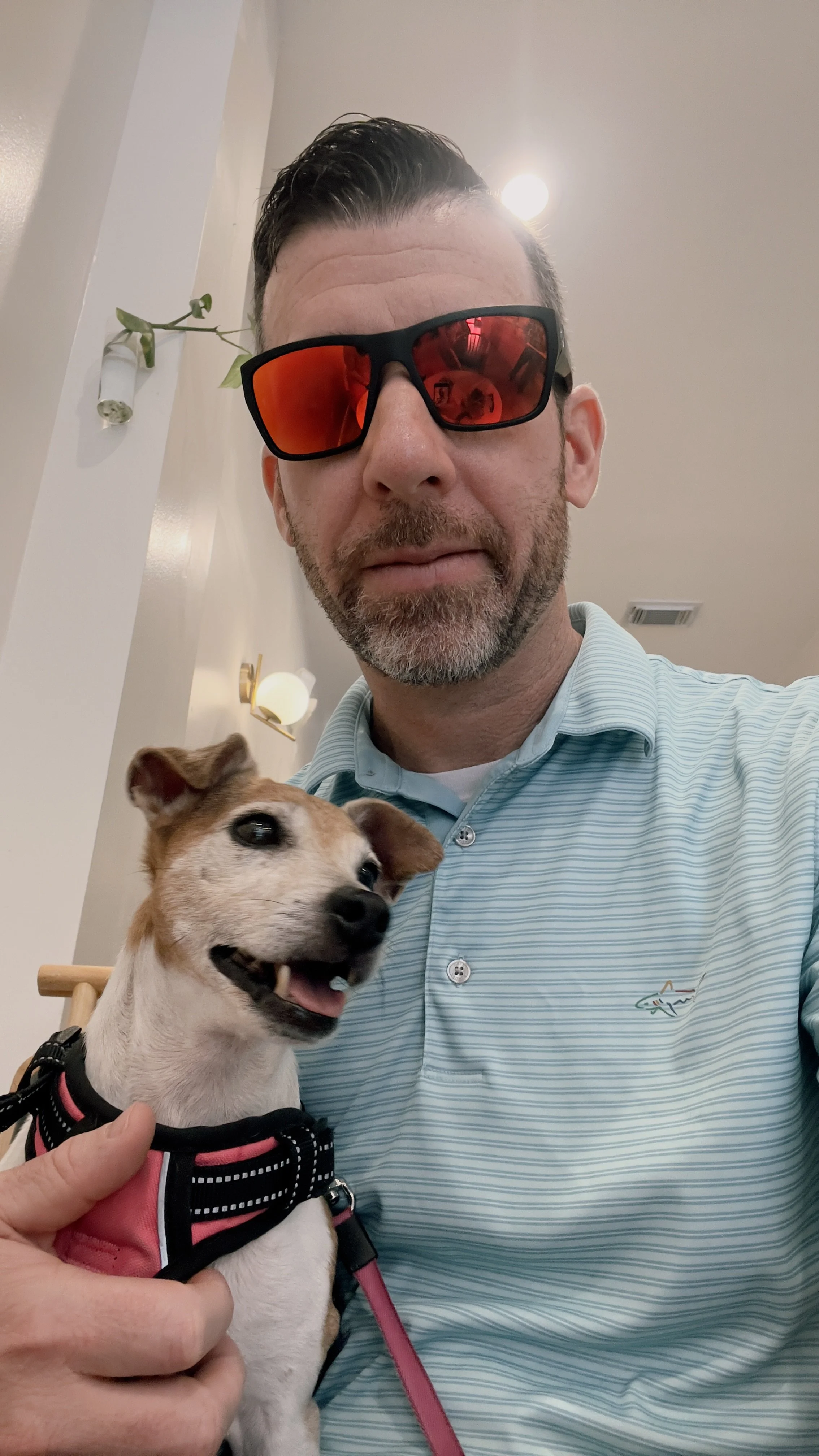 A man wearing sunglasses holding a small dog with a pink harness, indoors against a neutral background.