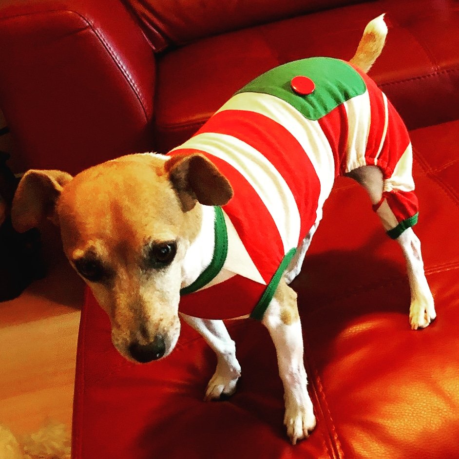 Santa's Little Helper
