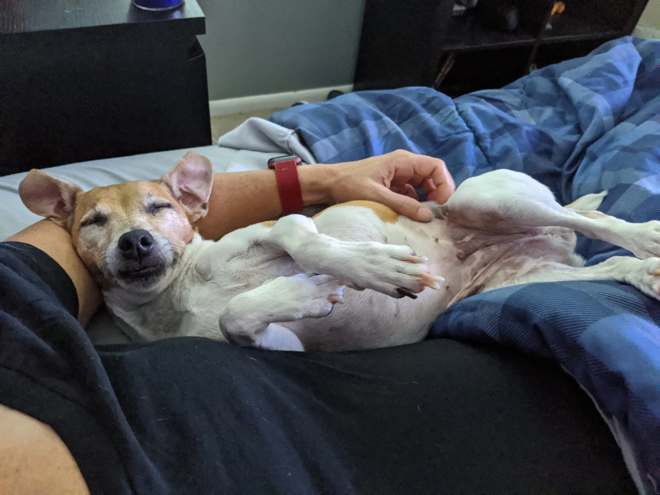 Nap Time...