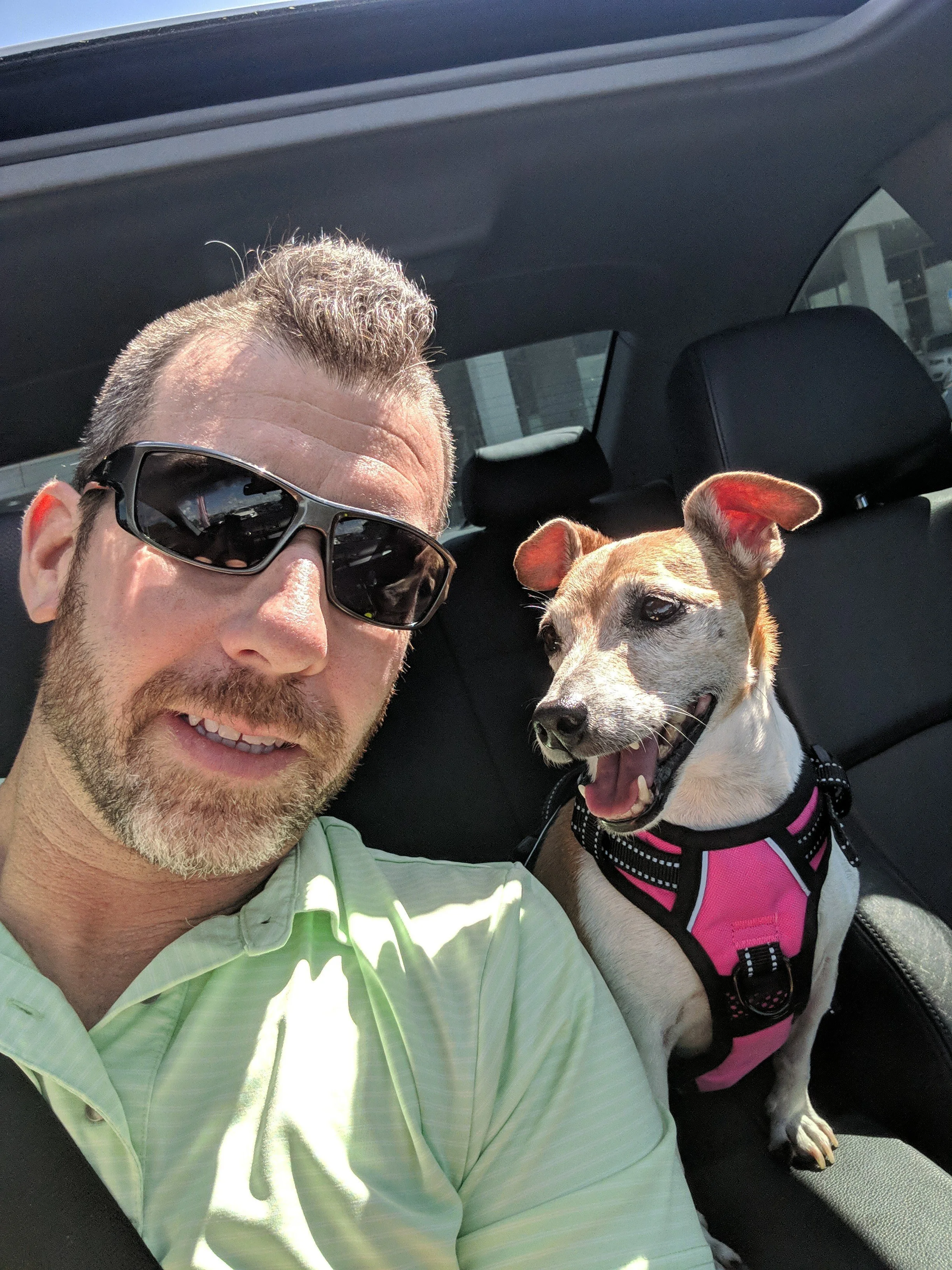 A man with sunglasses and a beard smiling, sitting in a car next to a small dog wearing a pink and black harness, with both looking at the camera.