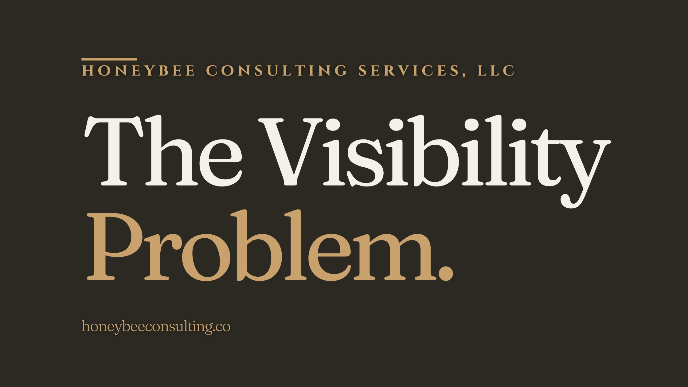 The Visibility Problem