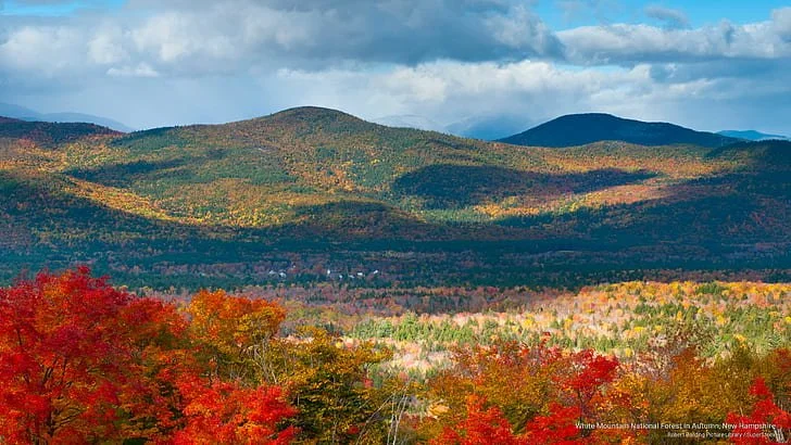New Hampshire