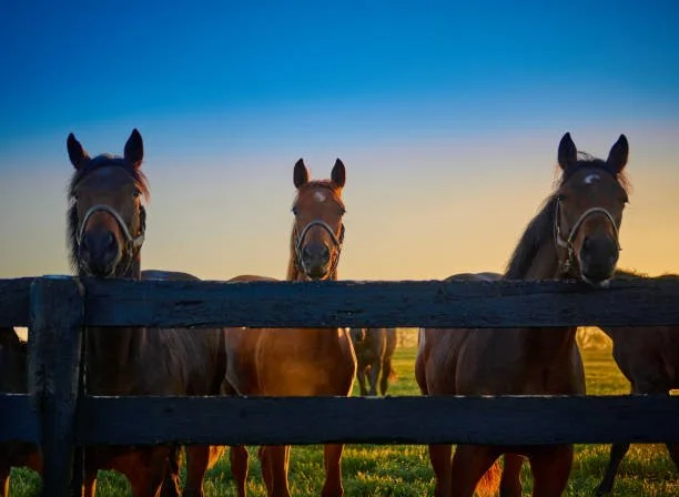 Kentucky