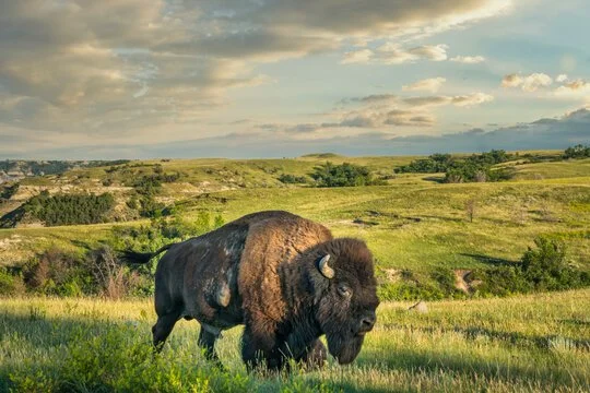 North Dakota