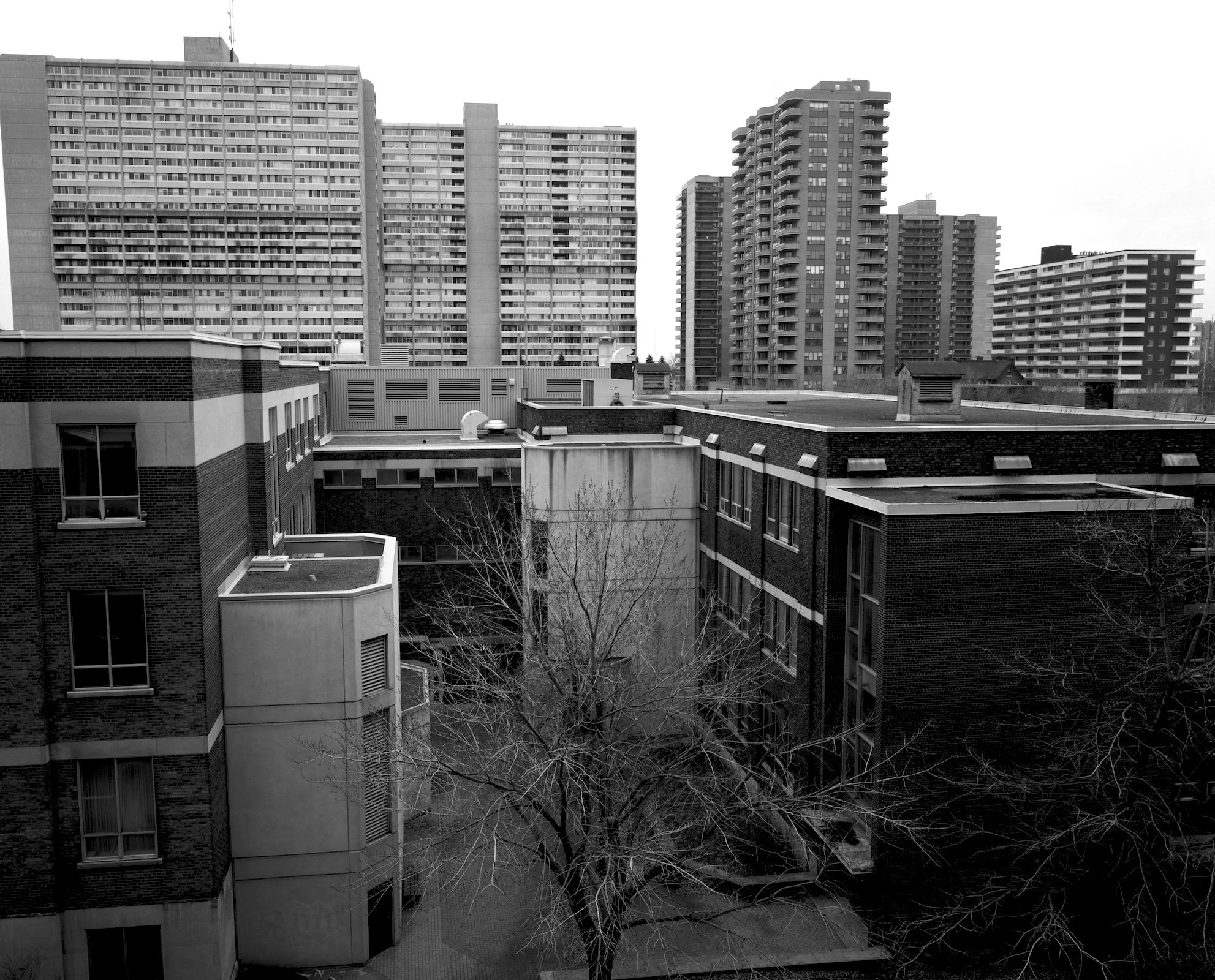 SANS TITRE 77, 2005, 78,7 x 81,3 cm 