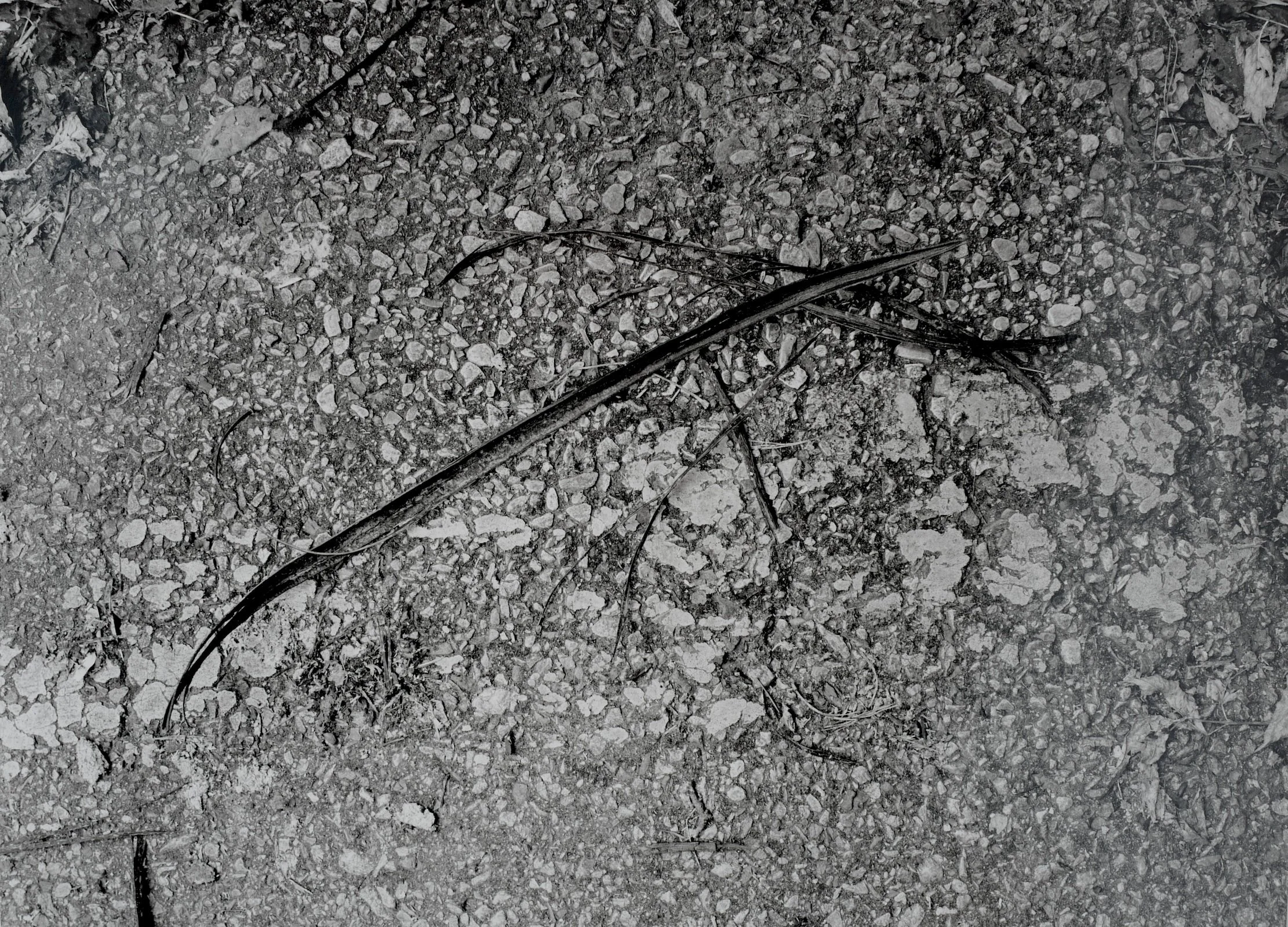 SANS TITRE 109, 2021, 50 x 60 cm