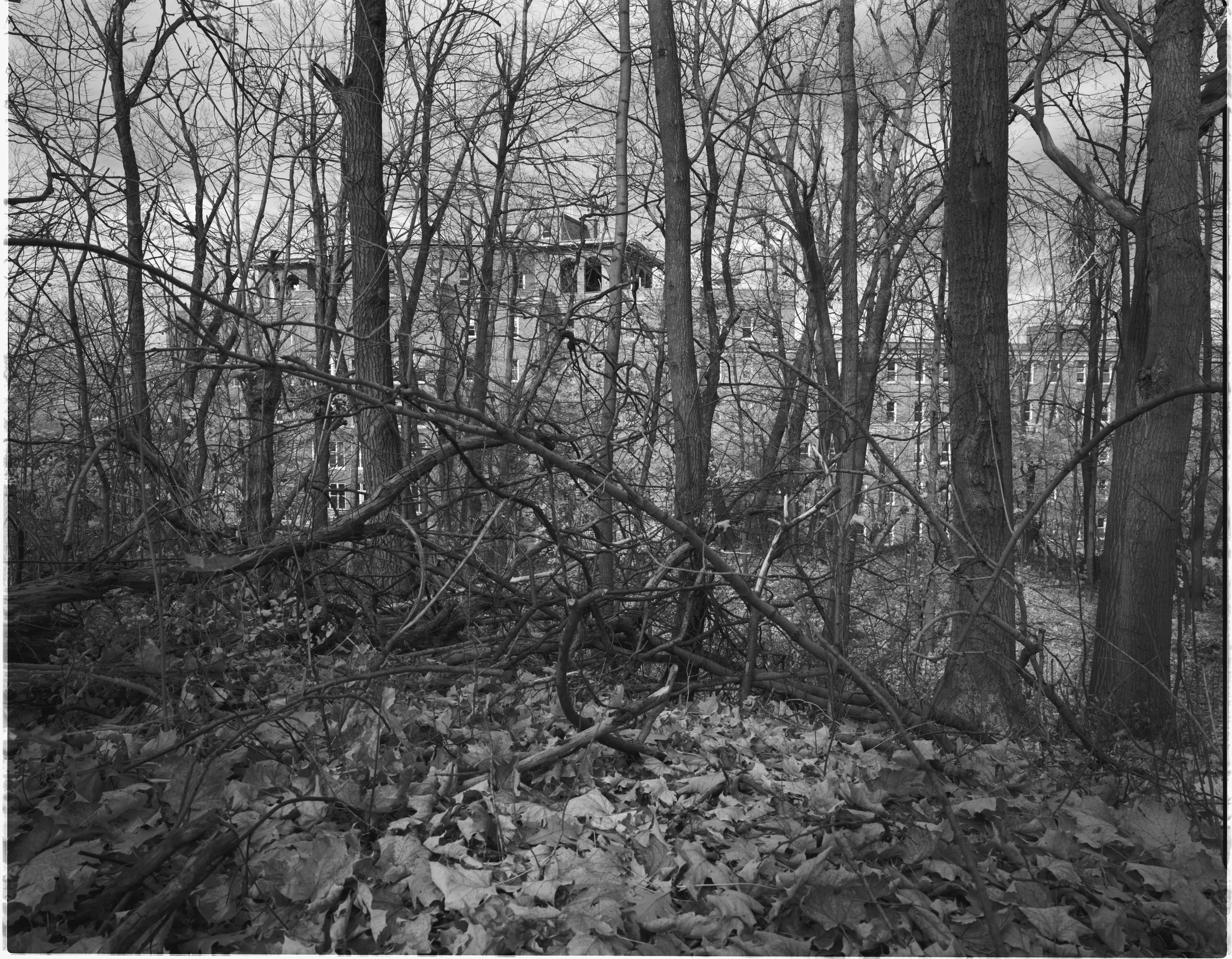 SANS TITRE 72, 2005, 155 x 185,5 cm