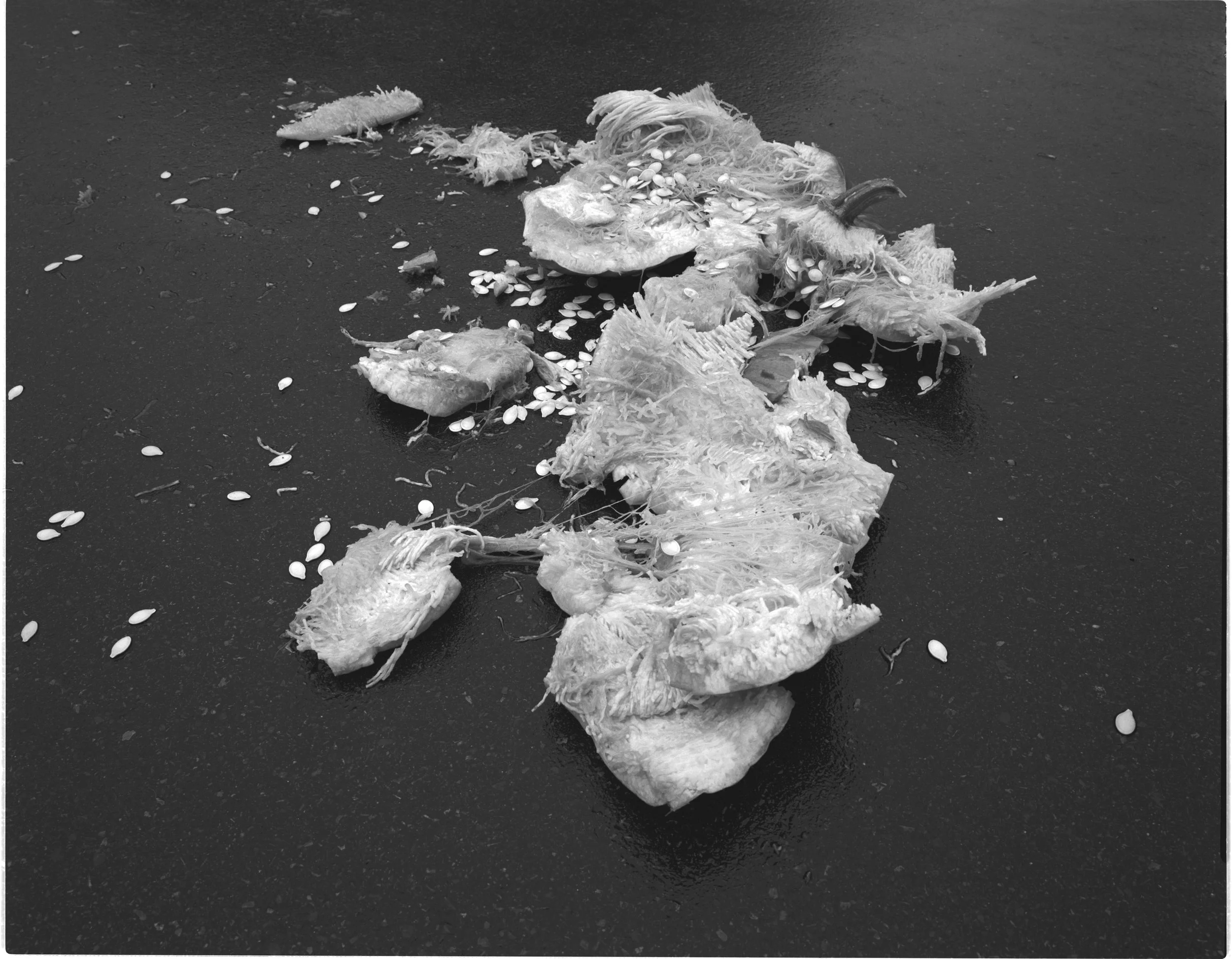 SANS TITRE 61, 2004, 51 x 61 cm