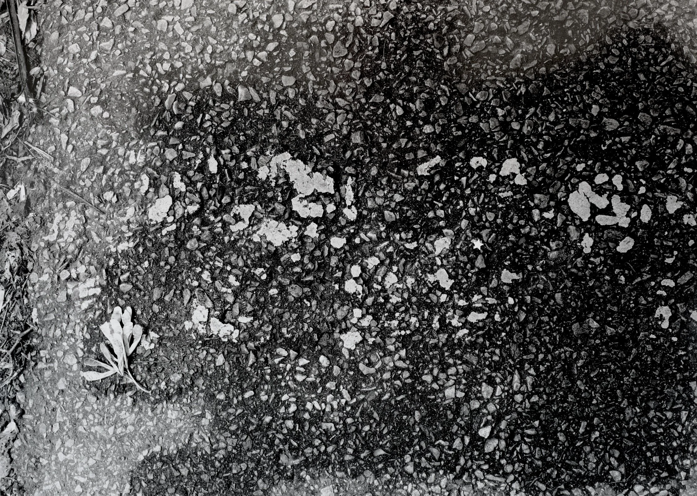 SANS TITRE 111, 2021, 50 x 60 cm